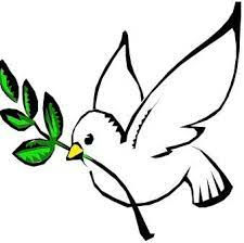Greenwood Shalom After School logo