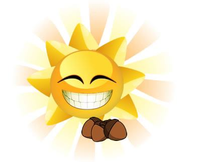 Sunkissed Acorns logo