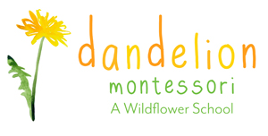 Dandelion Montessori logo