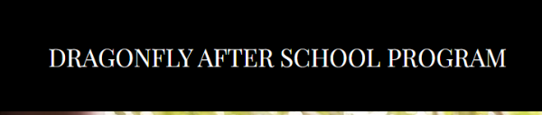 Dragonfly After School Program logo