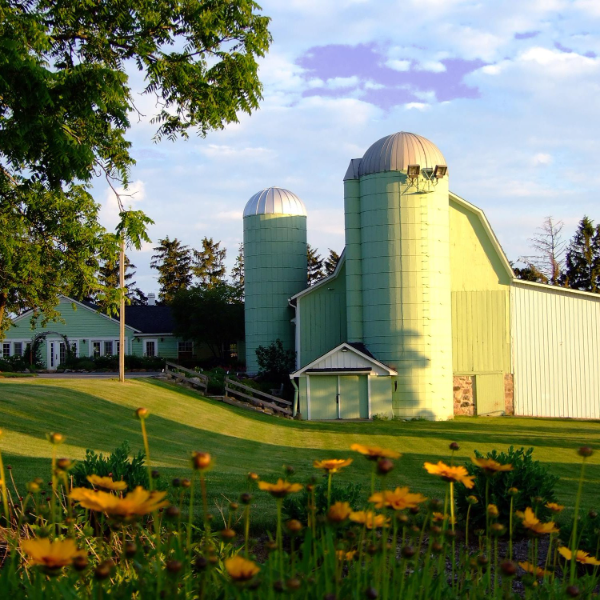Michigan State University Tollgate Farm logo