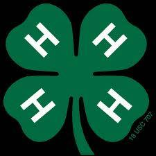 4-H Camp Shankitunk logo