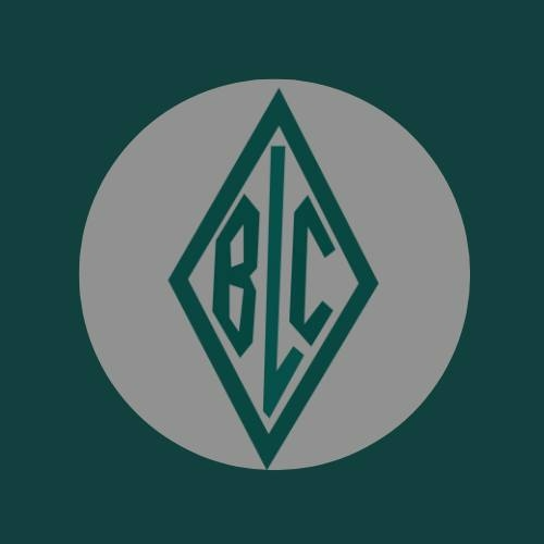 Brant Lake Camp logo