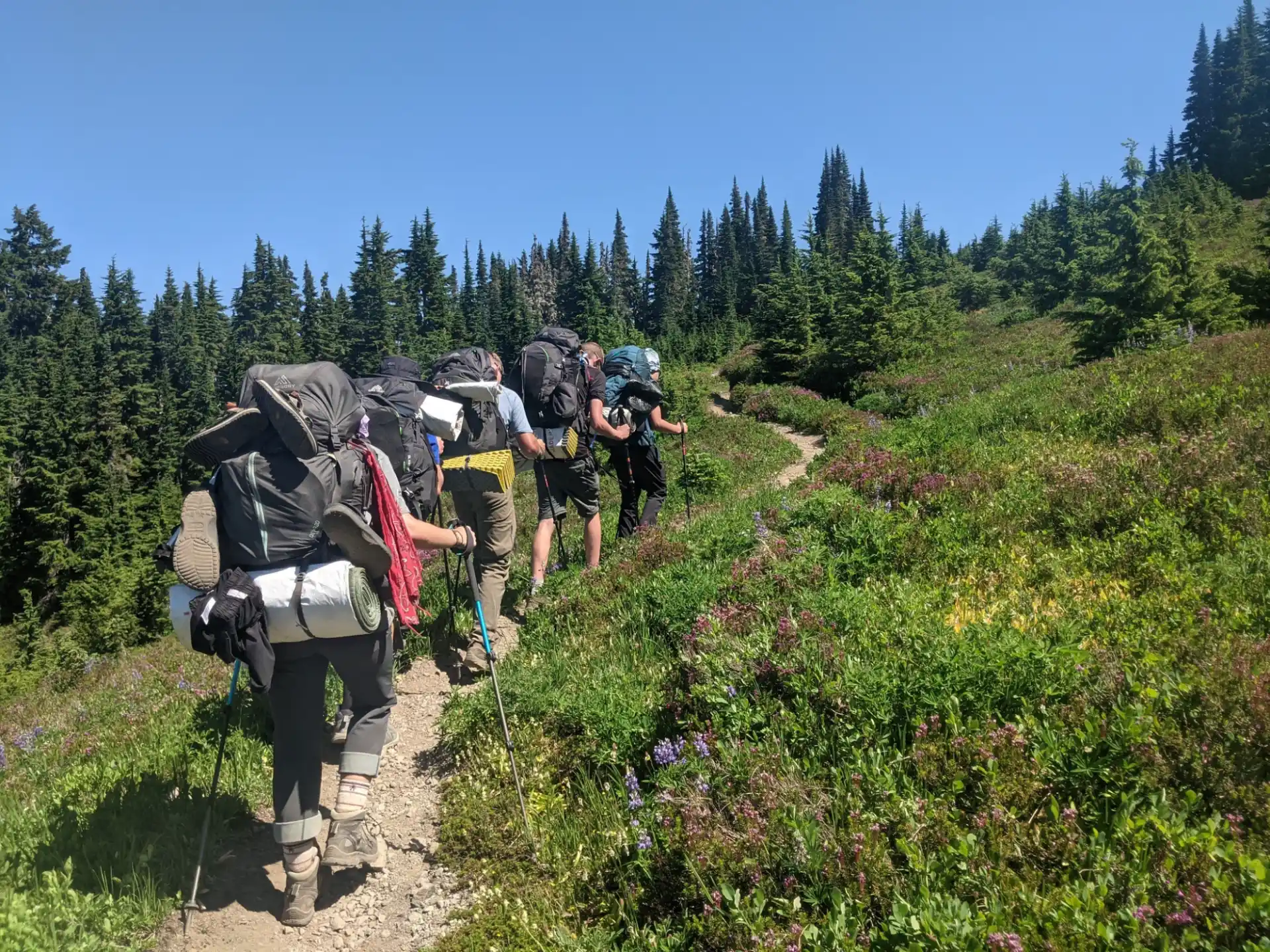 a group of hikers hiking