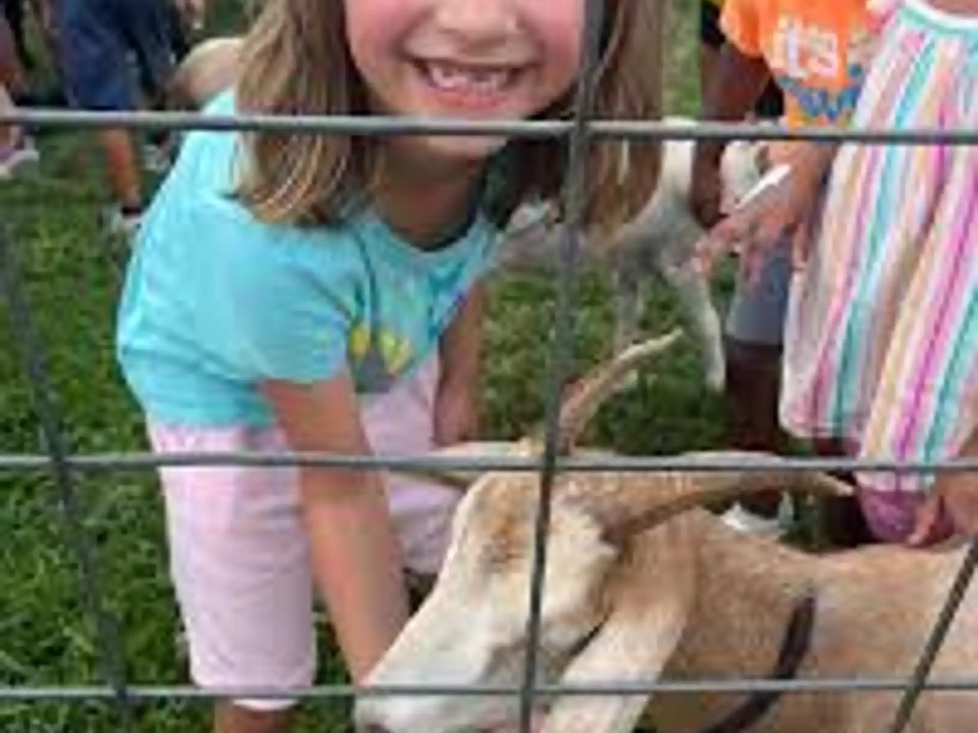 Camp Quillian — e5d9877d f6d3 4543 9853 6219e53bb0b9