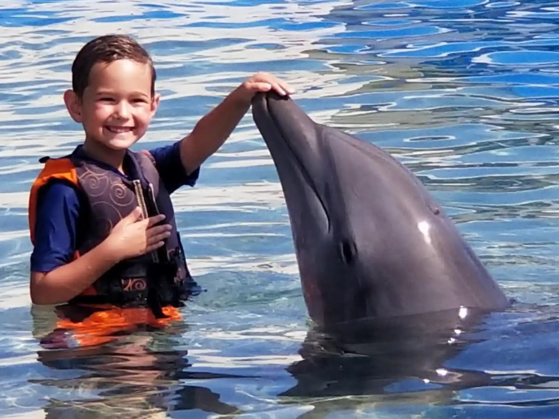 a boy in a life jacket with a dolphin in the water