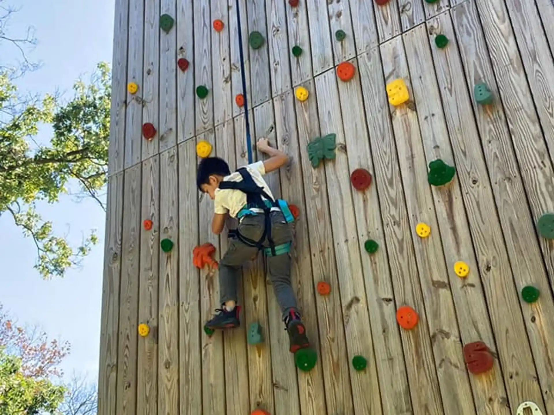 a person climbing a rock wall