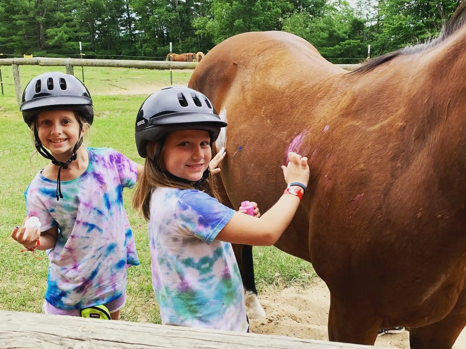 a couple of girls petting a horse