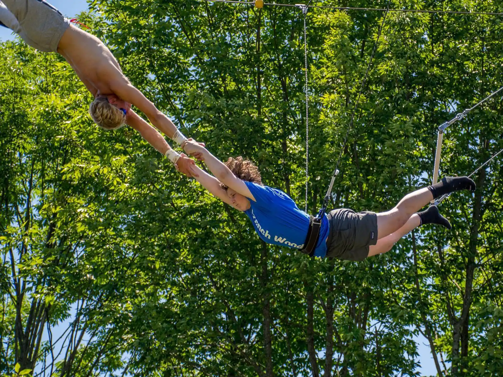 a person from a tree