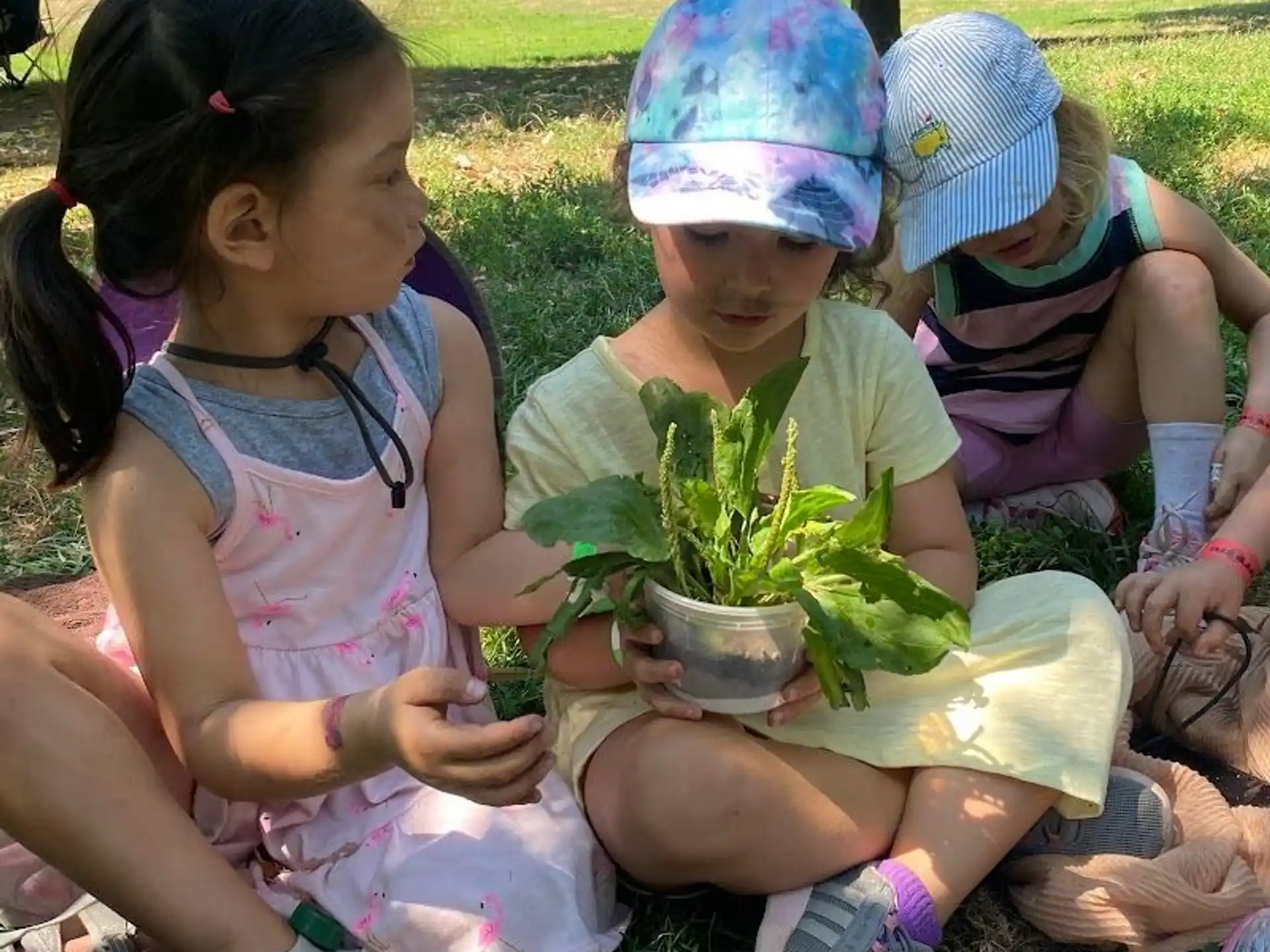 a group of children sitting on the ground