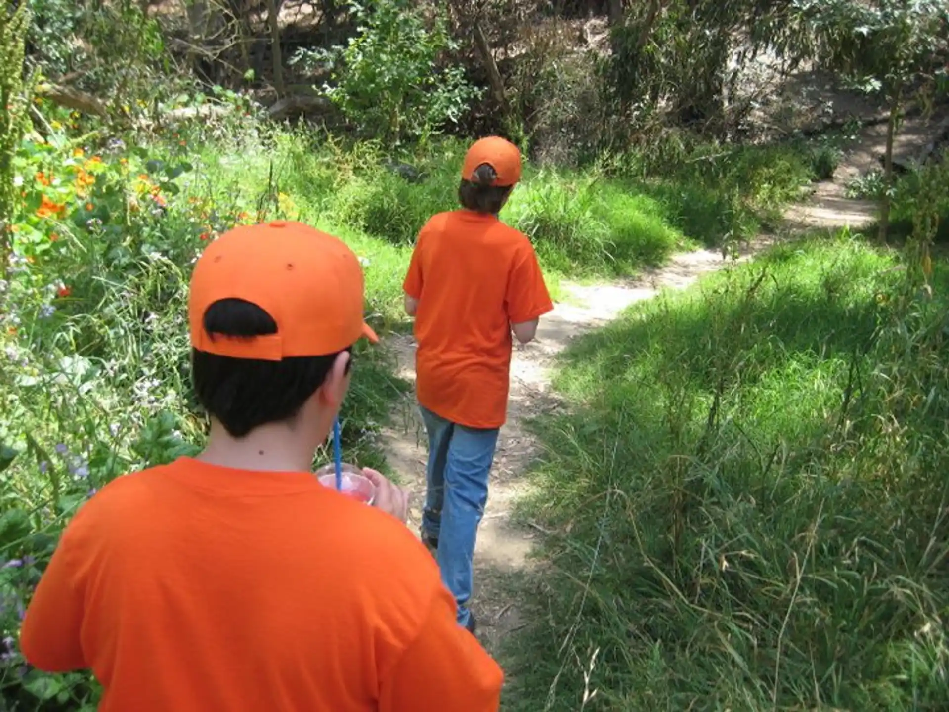a couple of people walking on a path in the woods