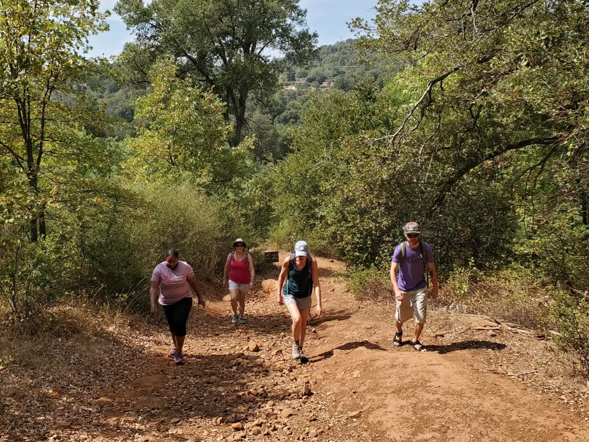 a group of people walking on a dirt path in the woods