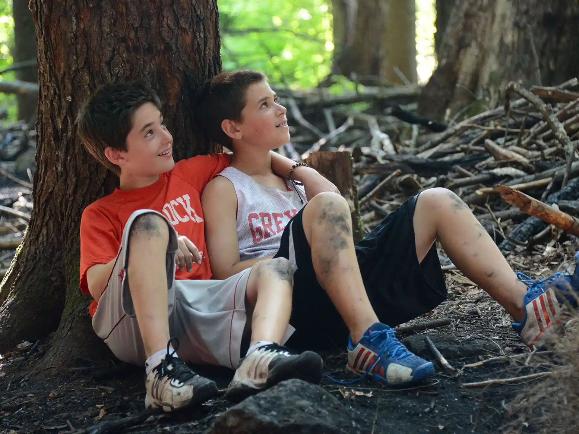 a couple of boys sitting on a tree branch