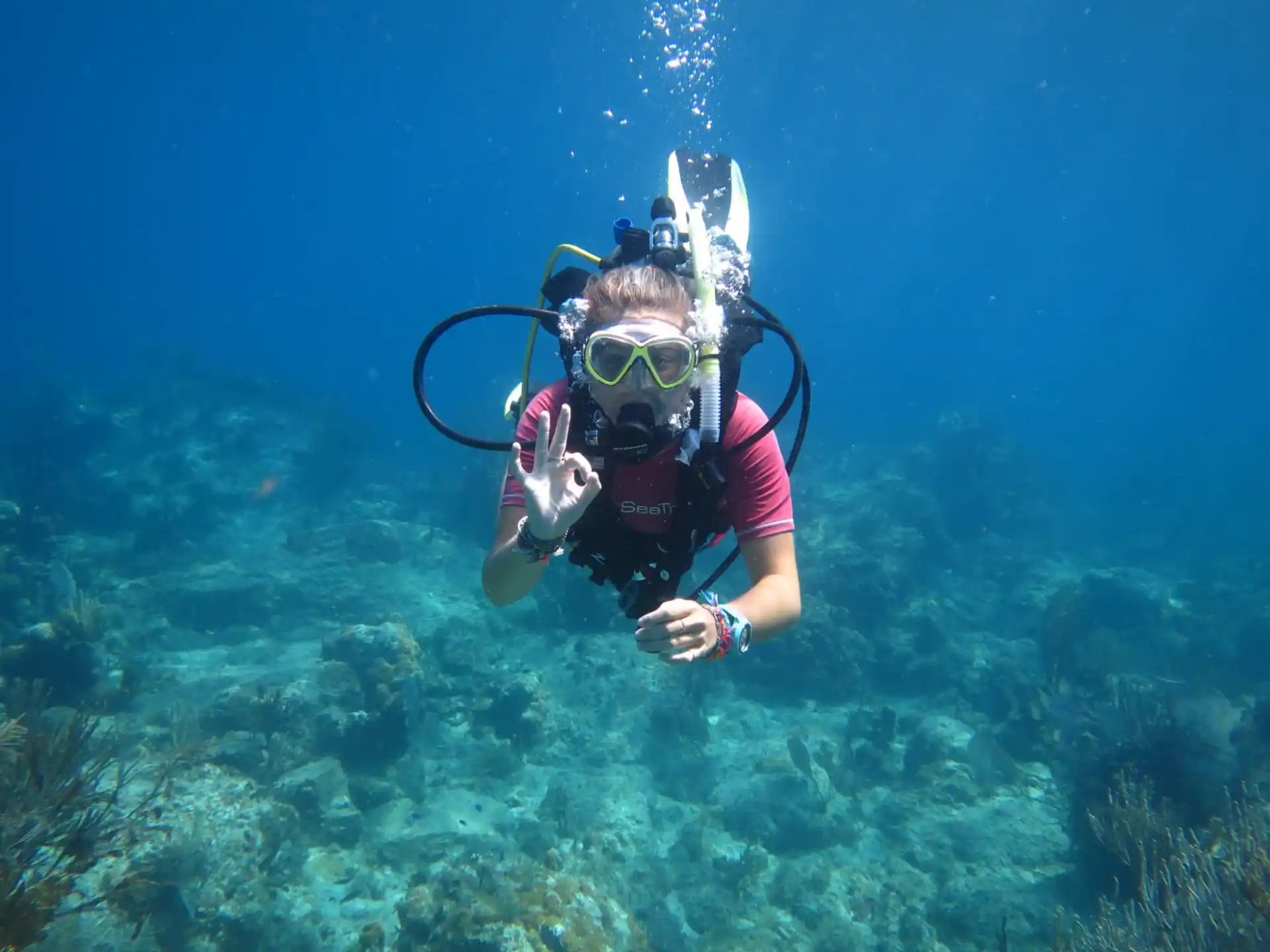 a person in scuba gear underwater