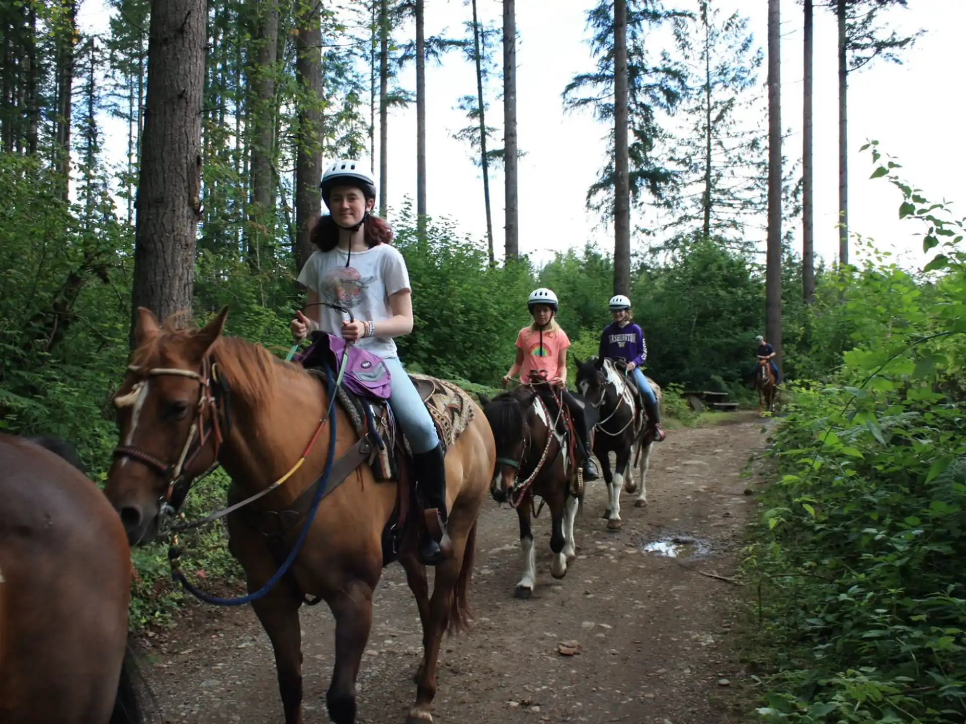a group of people riding horses