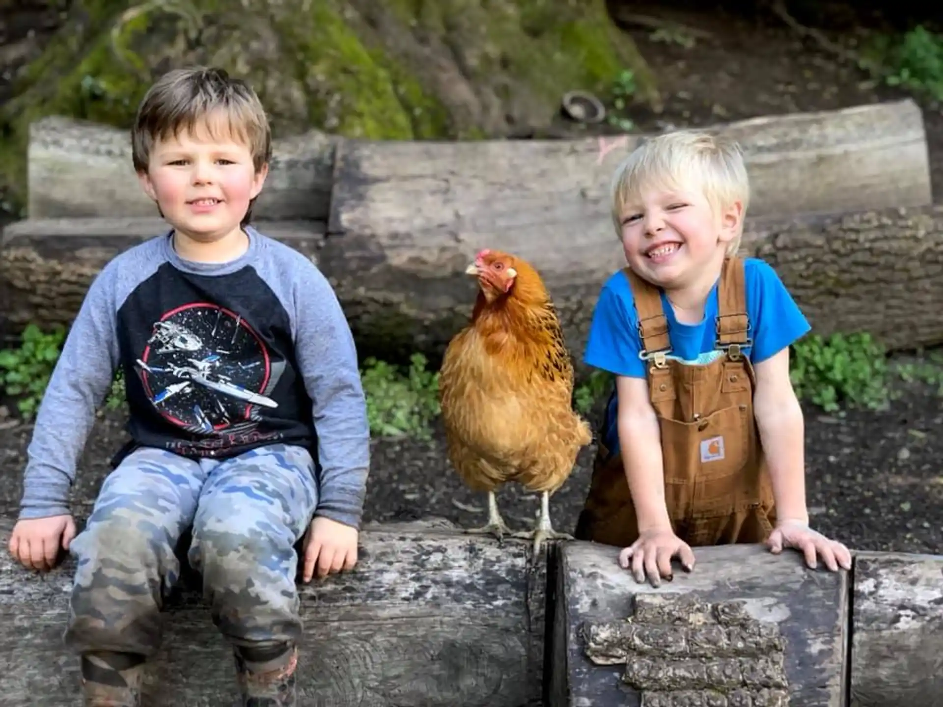 a couple of children sitting on a log with a chicken in the background