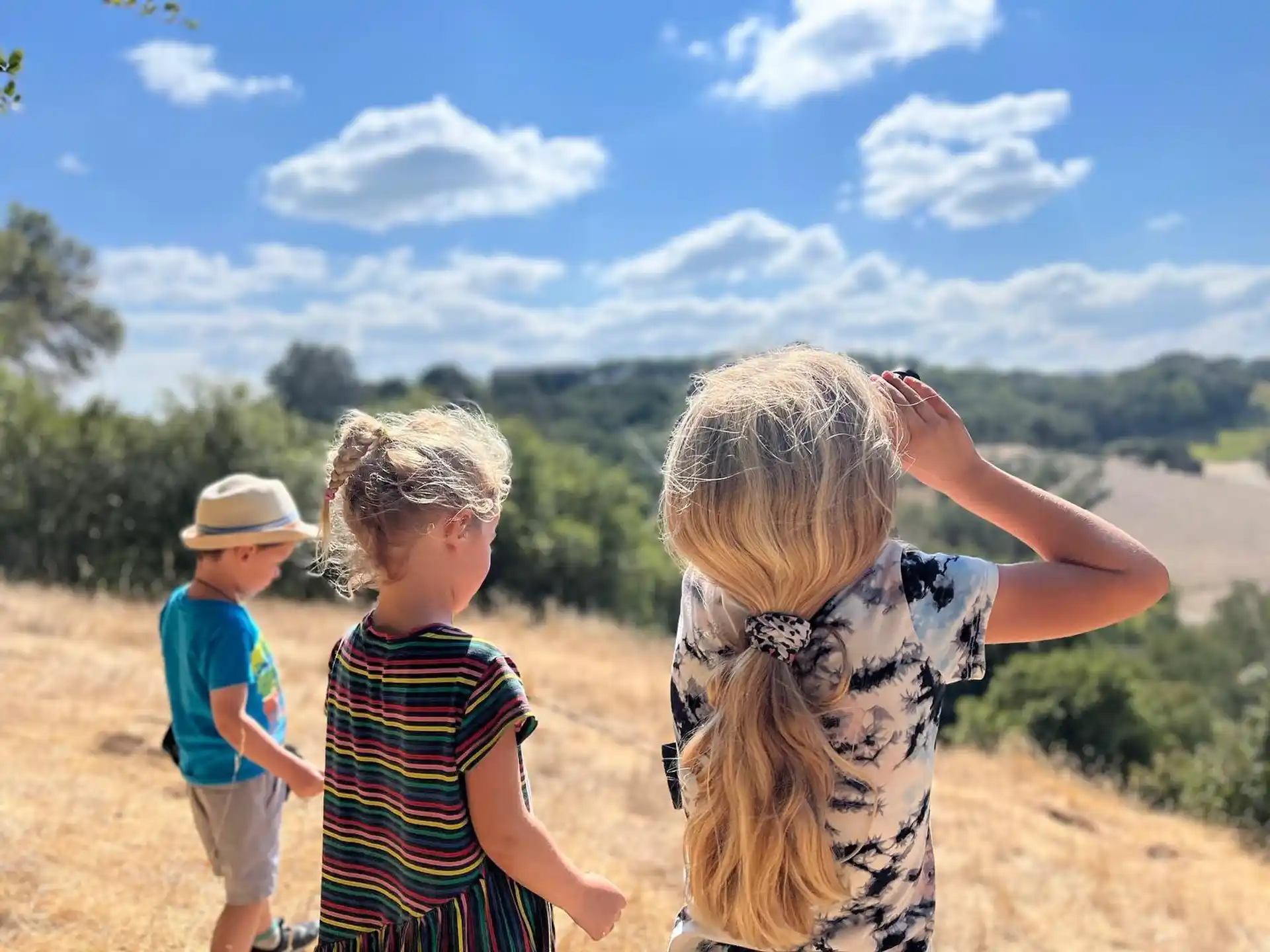 a group of people standing in a field with trees and blue sky