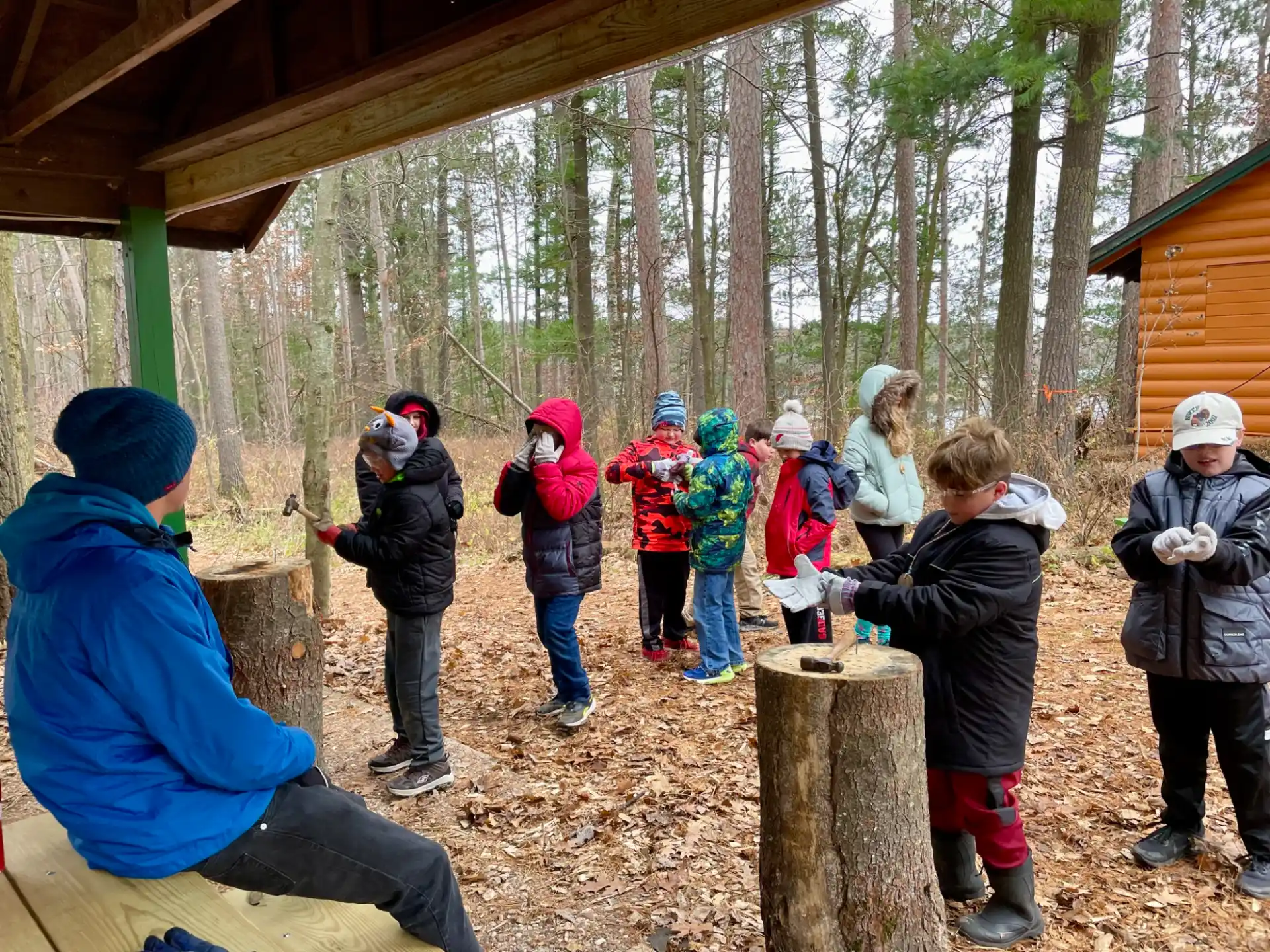 a group of people in a forest
