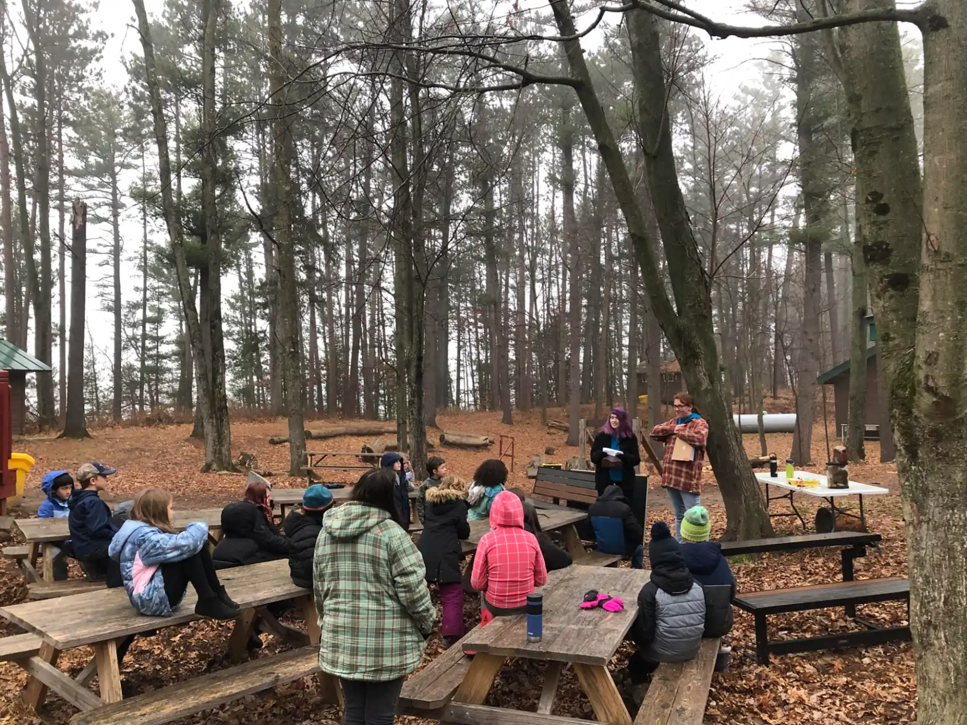 a group of people sitting at picnic tables in a forest
