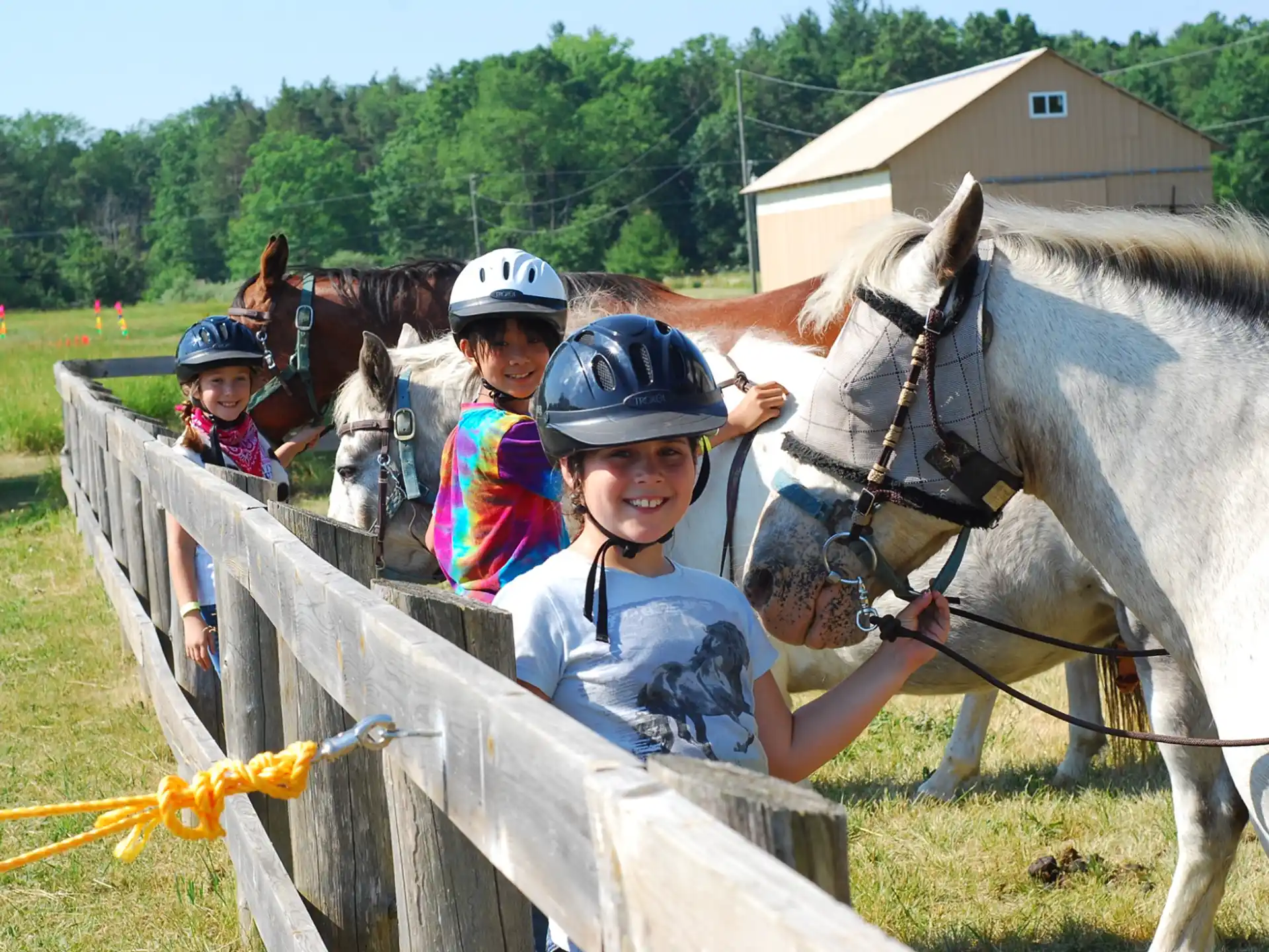 a group of people stand near some horses