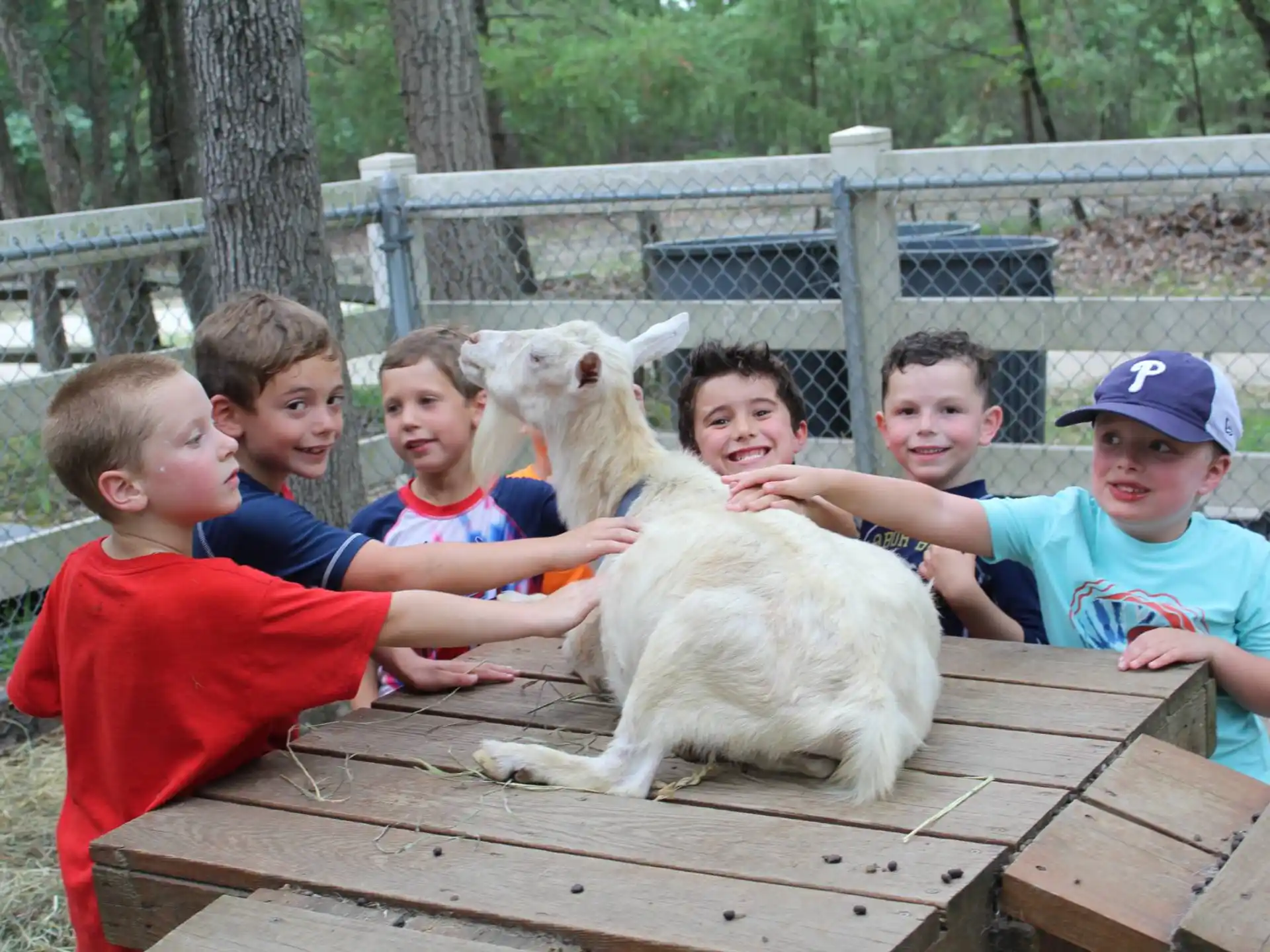 a group of boys and a dog