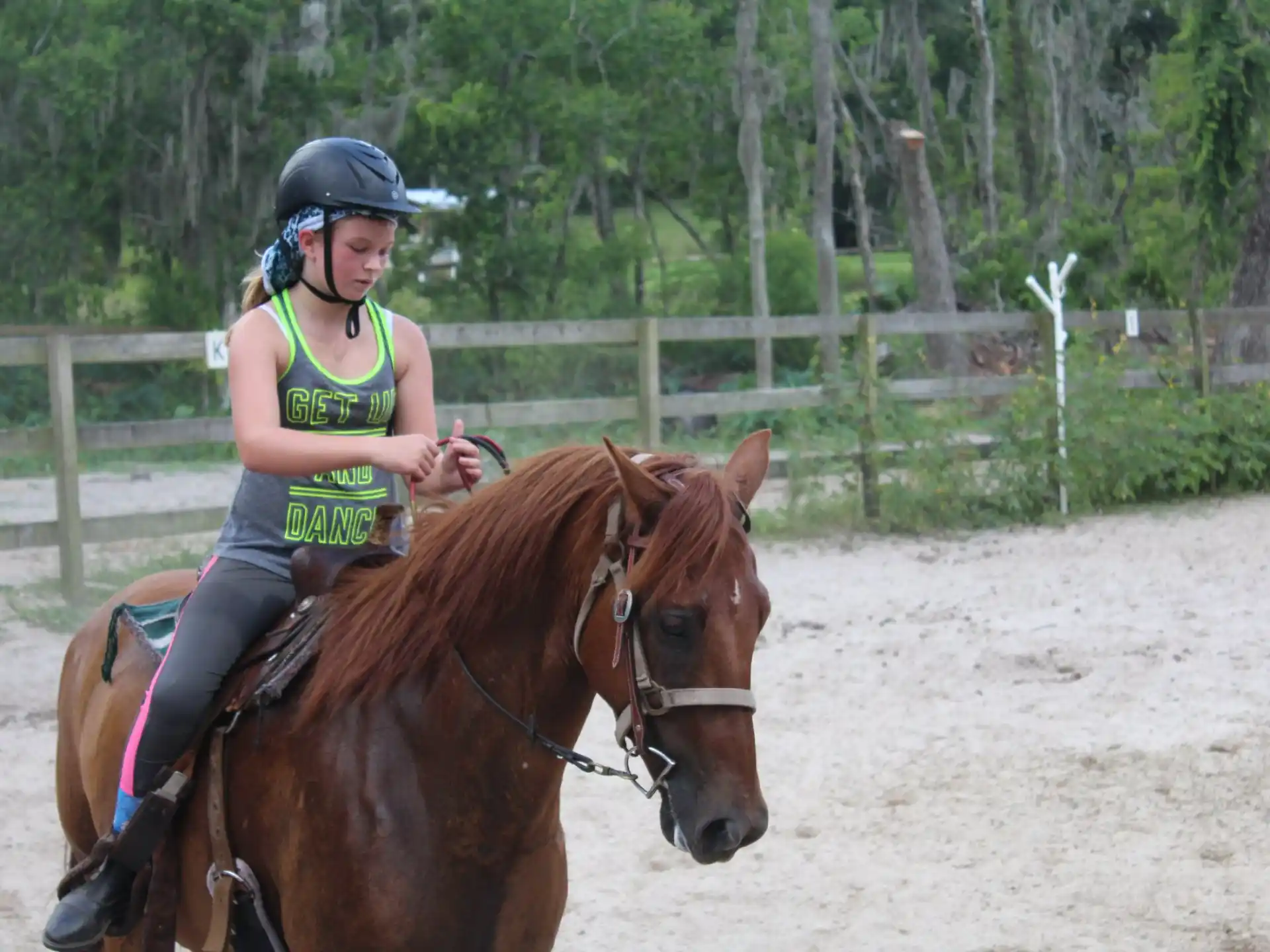 a person riding a horse