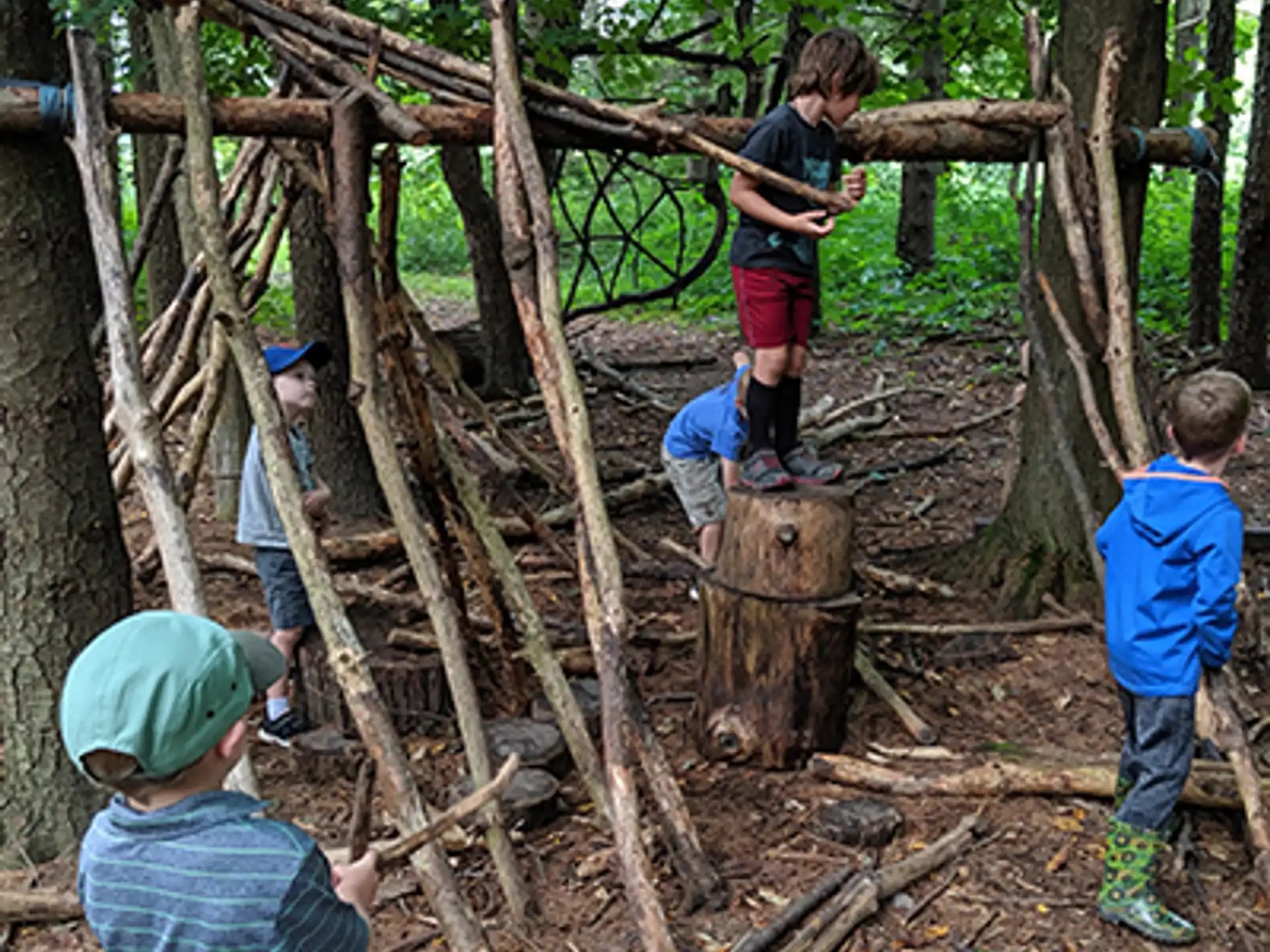 a group of kids playing in a tree