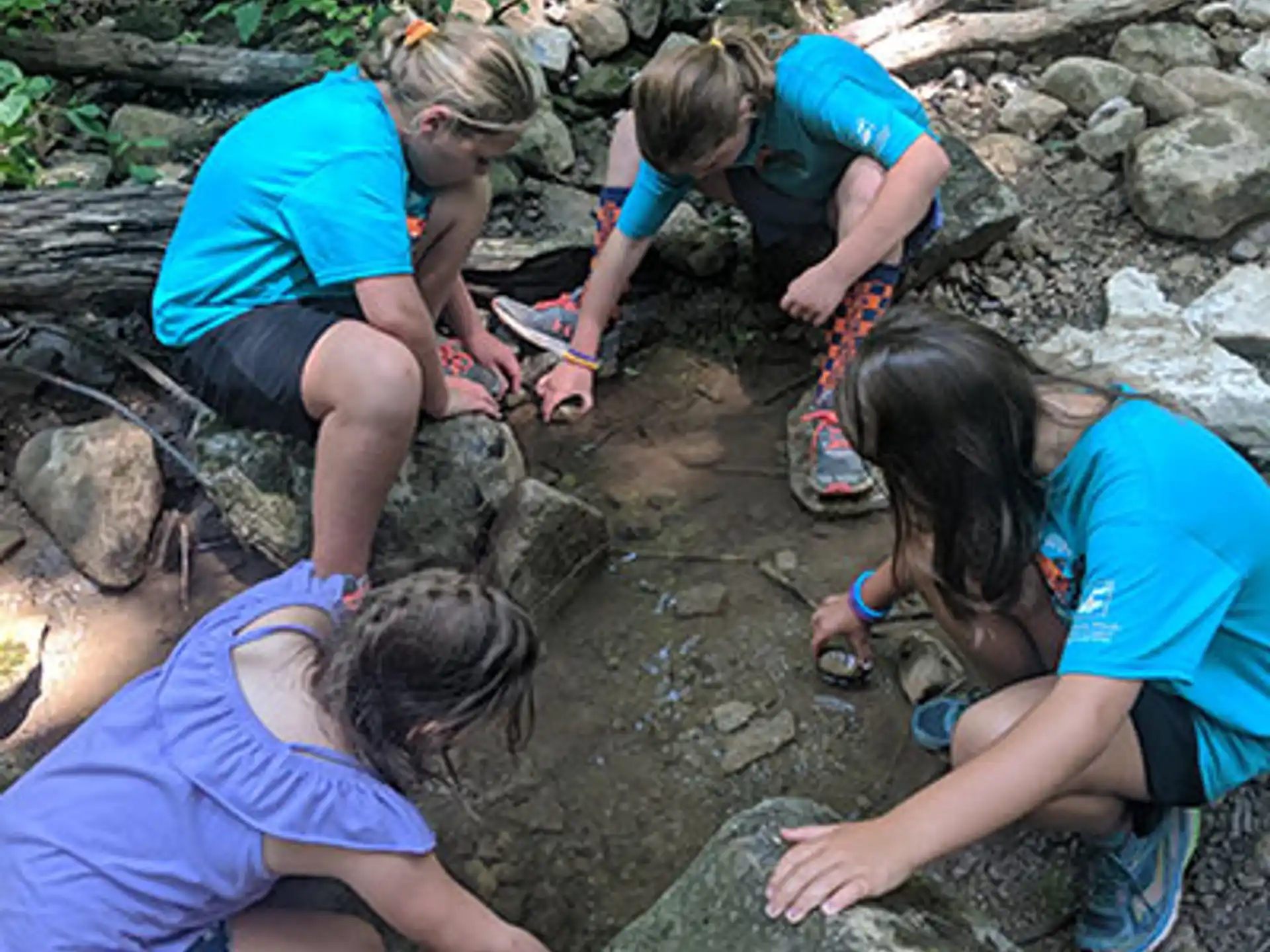 a group of people digging in the ground