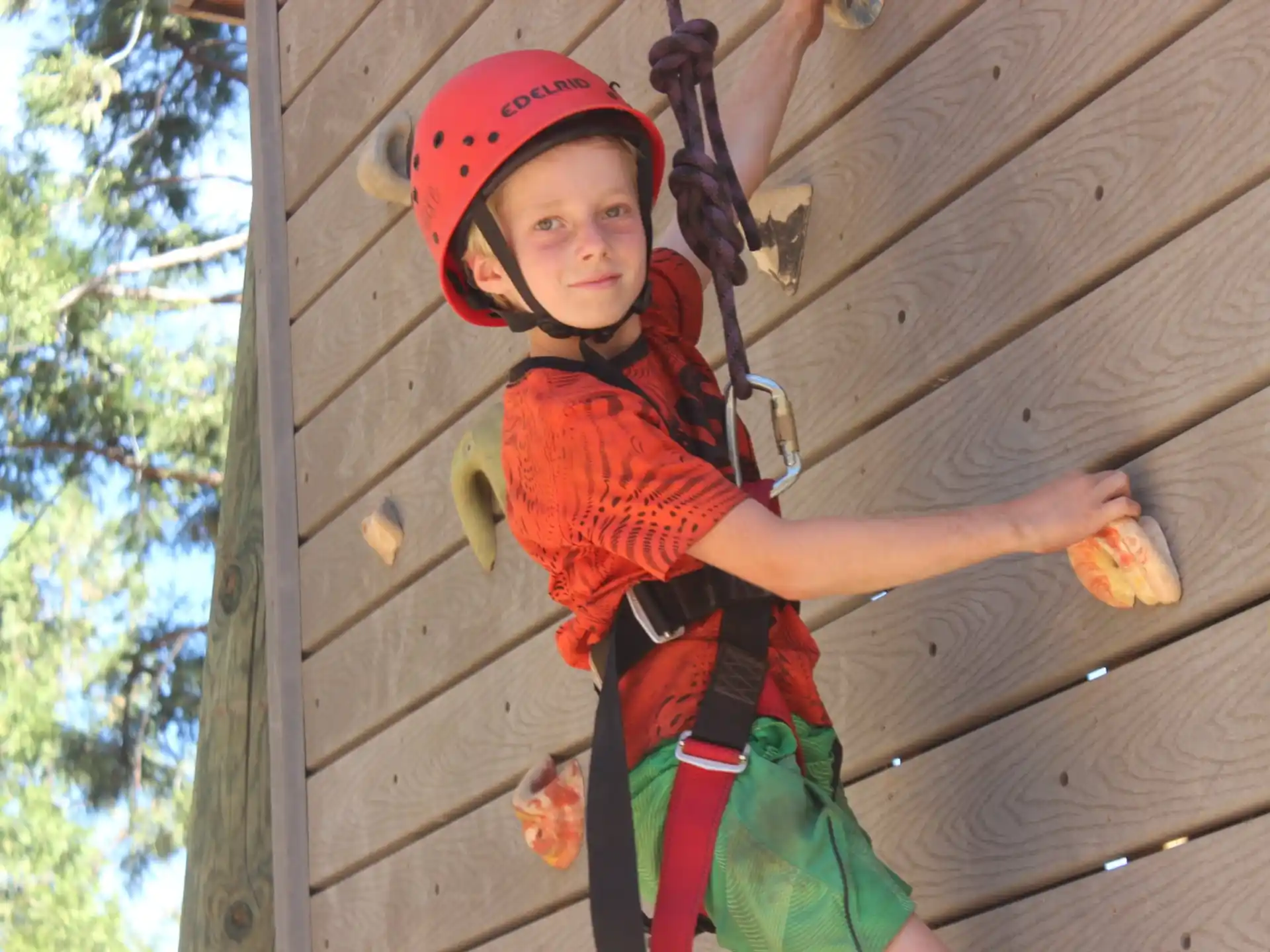 a young boy wearing a helmet and harness climbing a tree