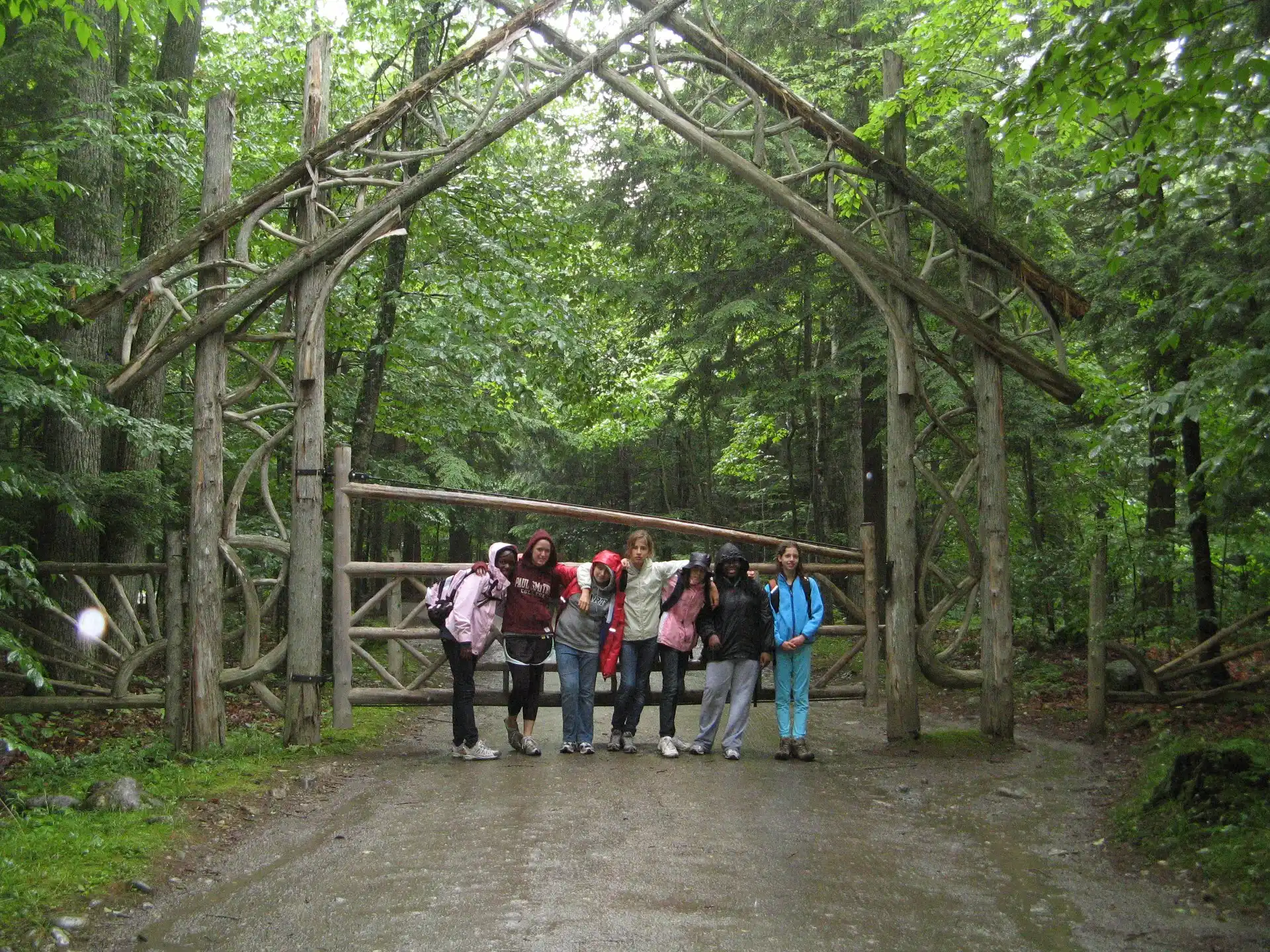 a group of people walking on a path through a forest