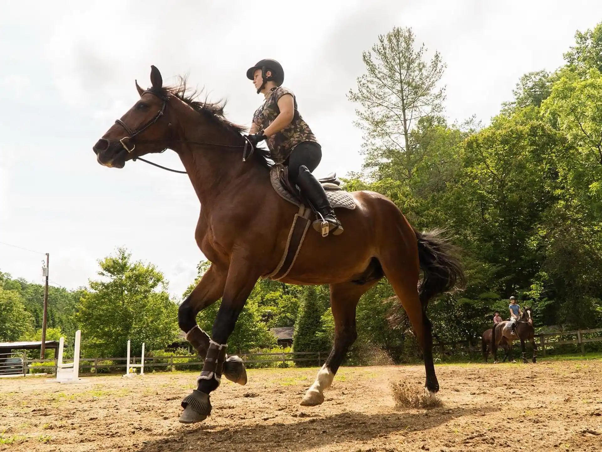 a person riding a horse