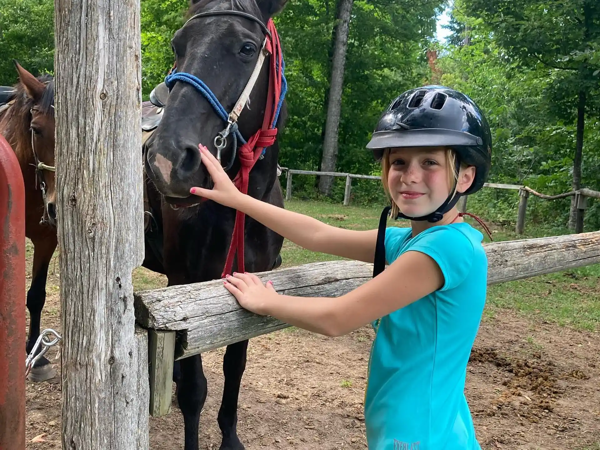 a girl petting a horse