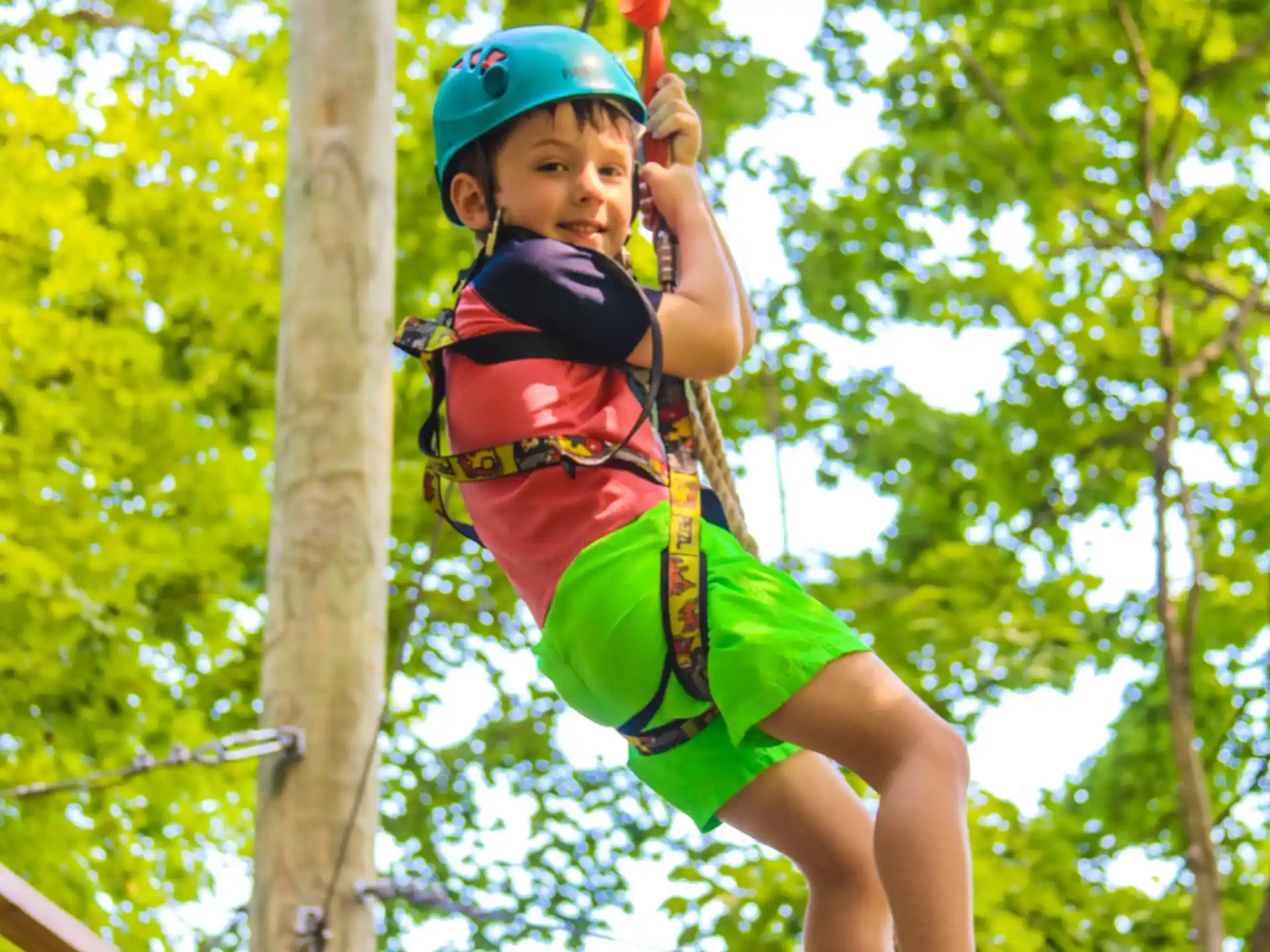 a young girl climbing a tree