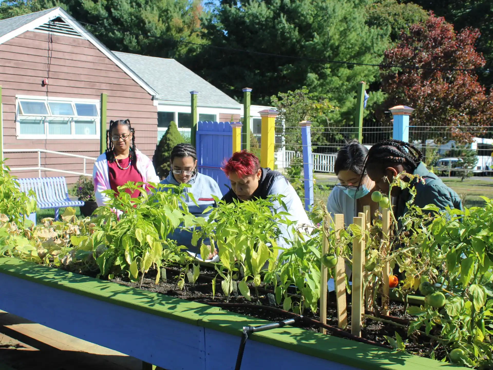 a group of people in a garden