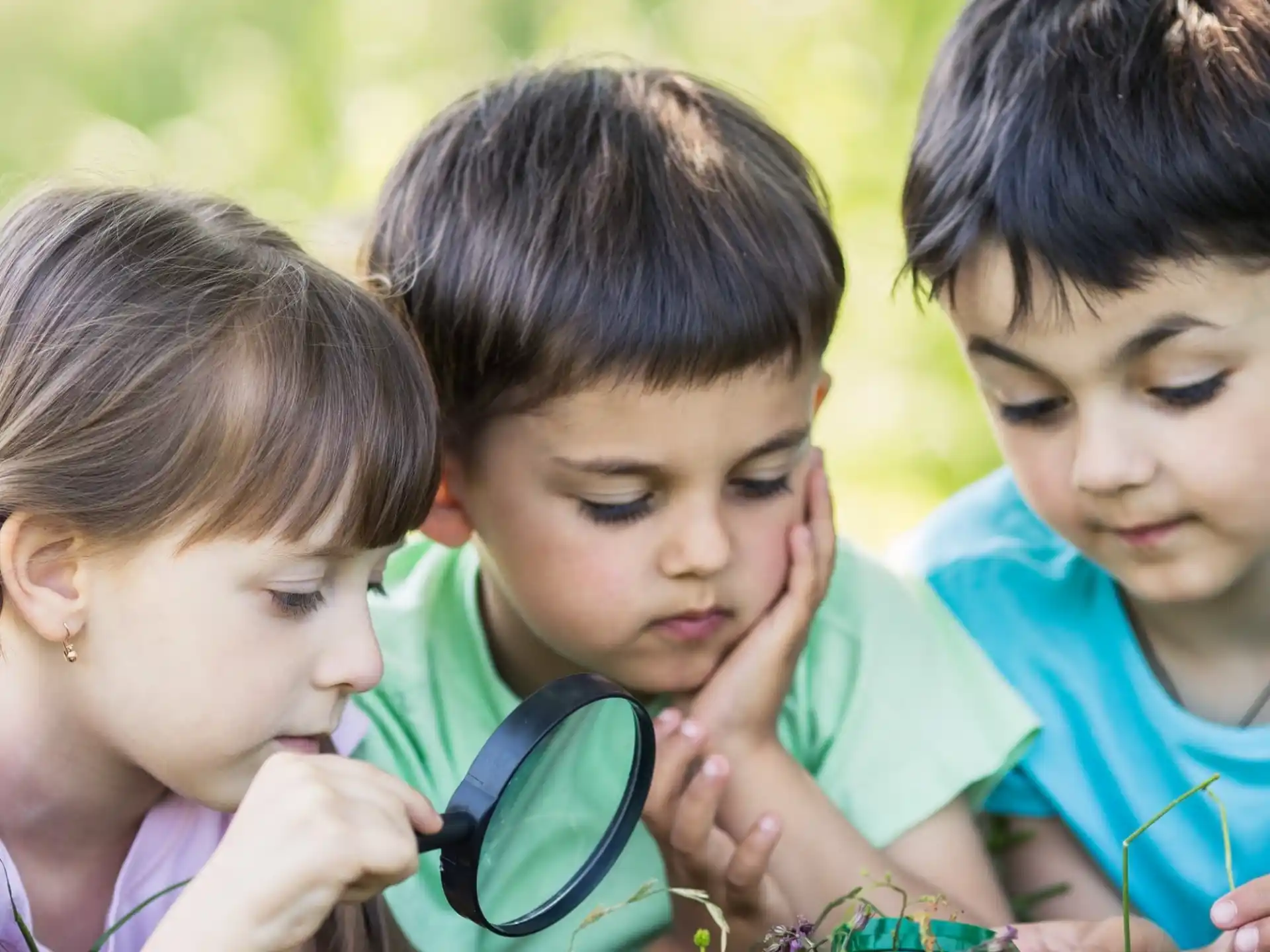 a group of children looking at something