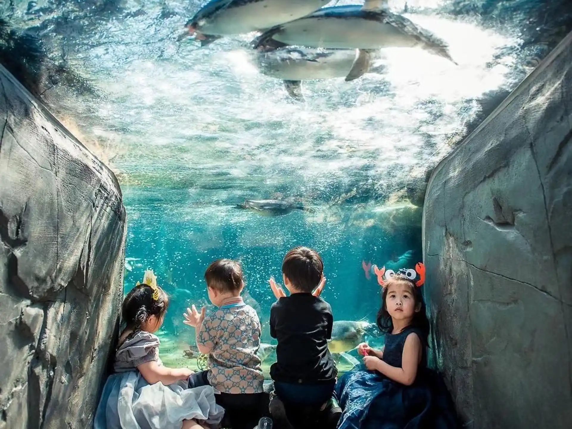 a group of people sitting in a cave looking at fish in the water