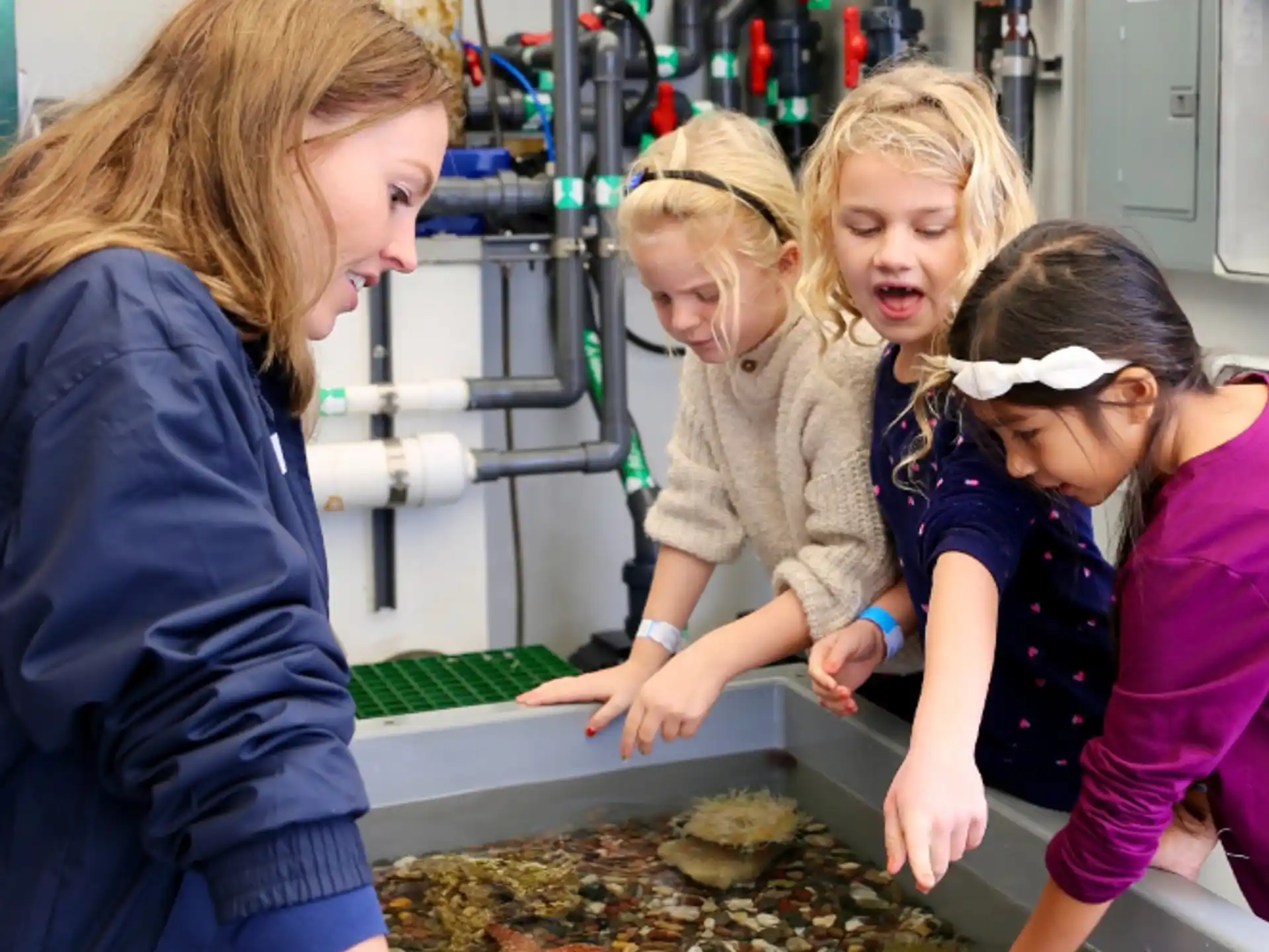 a group of women looking at a fish tank