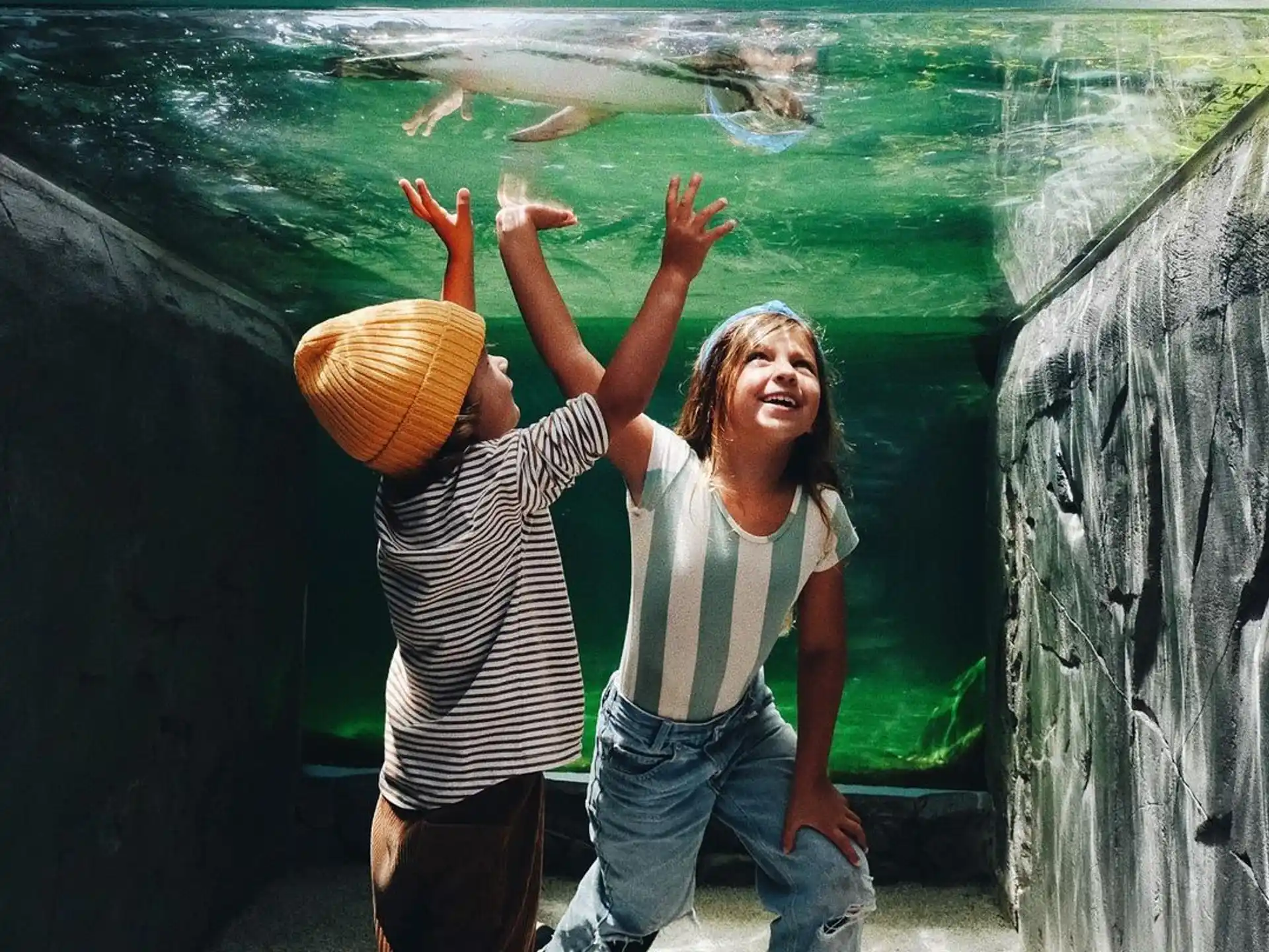a man and woman posing in front of a large aquarium