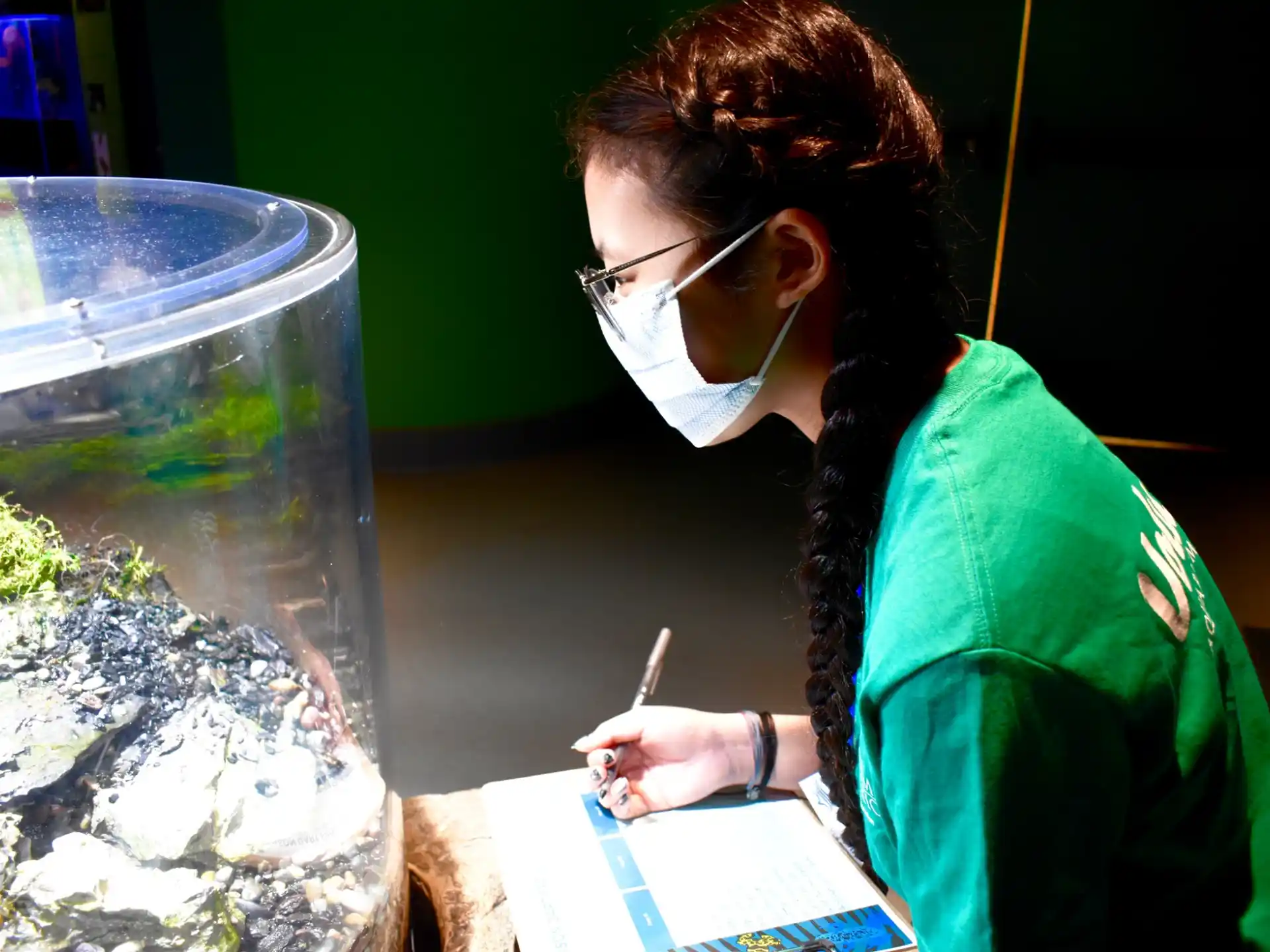 a person looking at a fish tank
