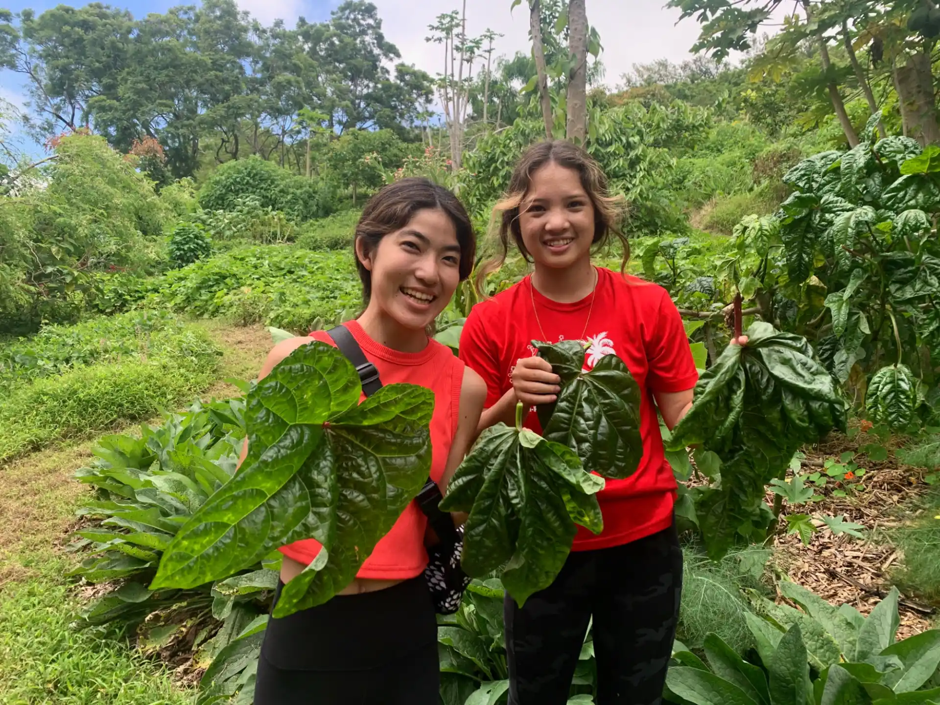 a couple of women holding plants