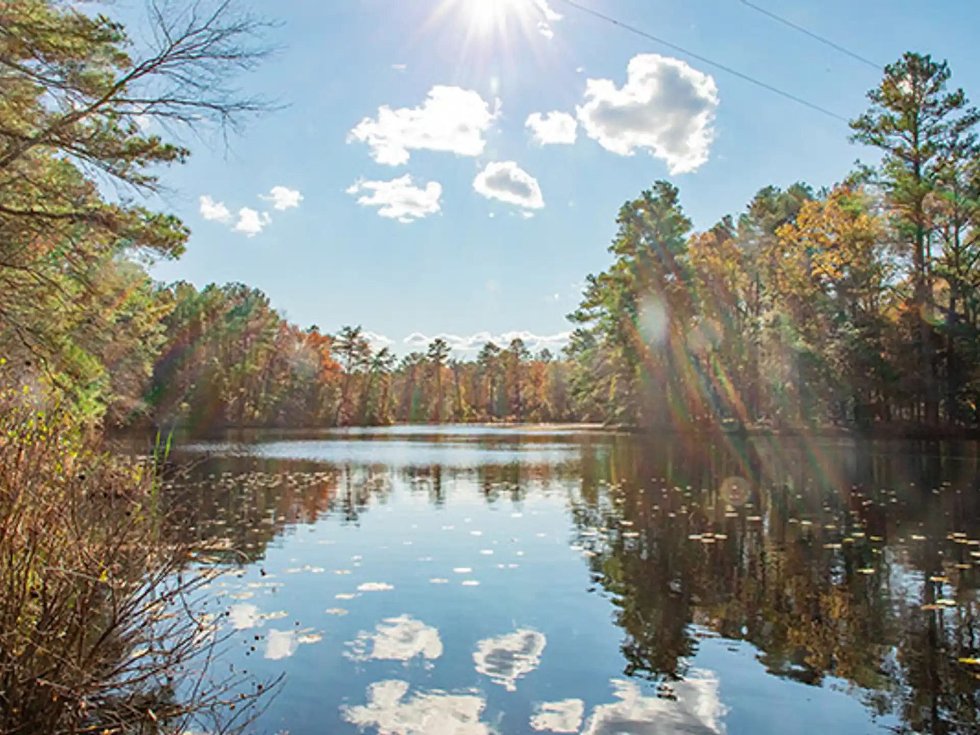 Delaware State Park Summer Camps-Alapocas Run — 9f3985ed f52b 4214 a462 d8c40bd0371e