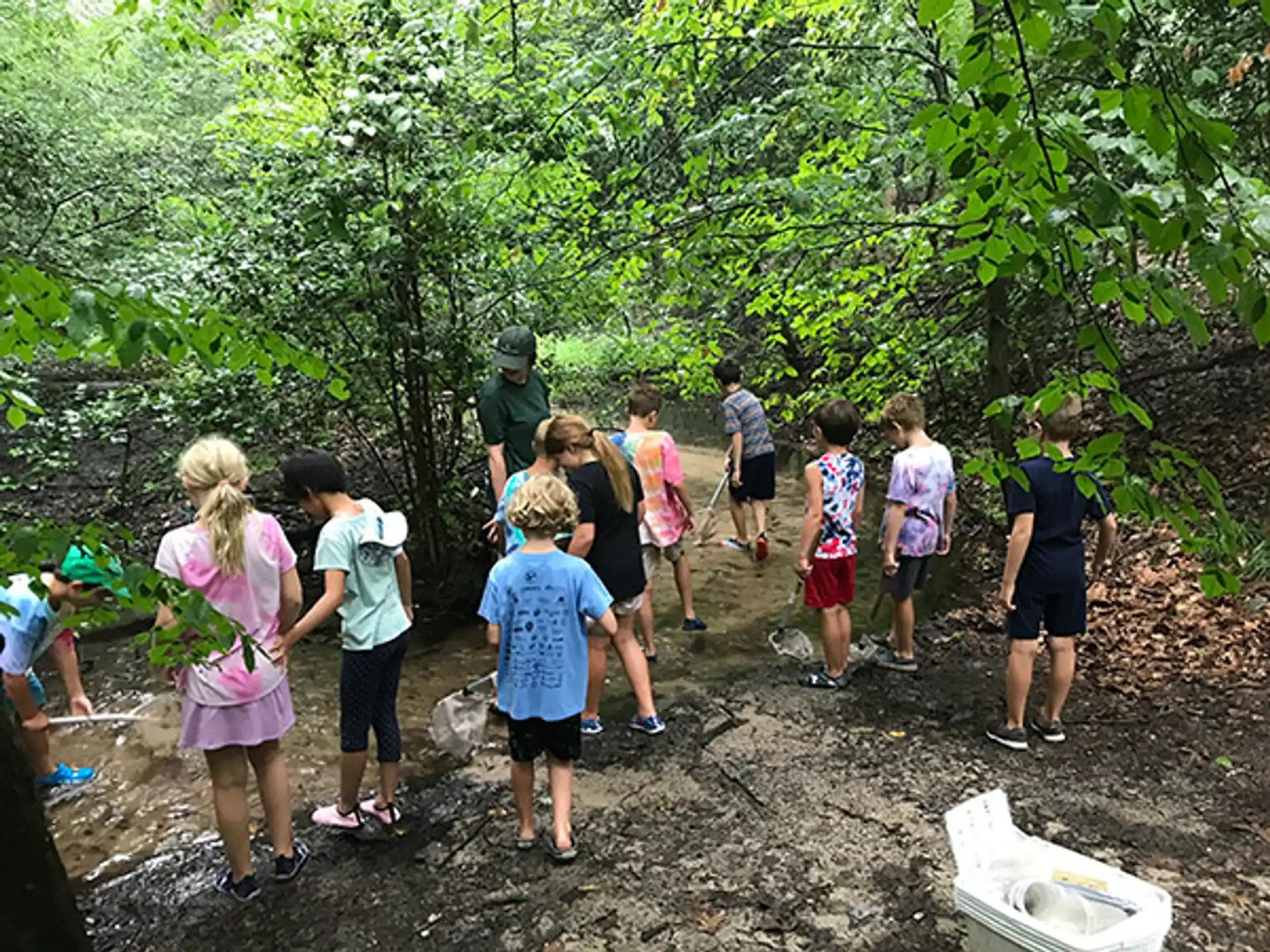 Delaware State Park Summer Camps-Alapocas Run — ed2a816d 7fc0 4343 99c7 aed463f51225