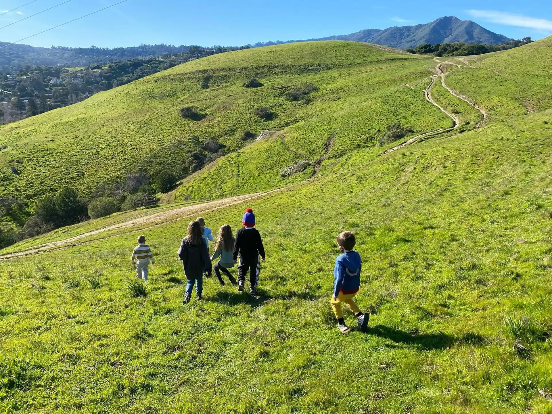 a group of people walking on a grassy hill