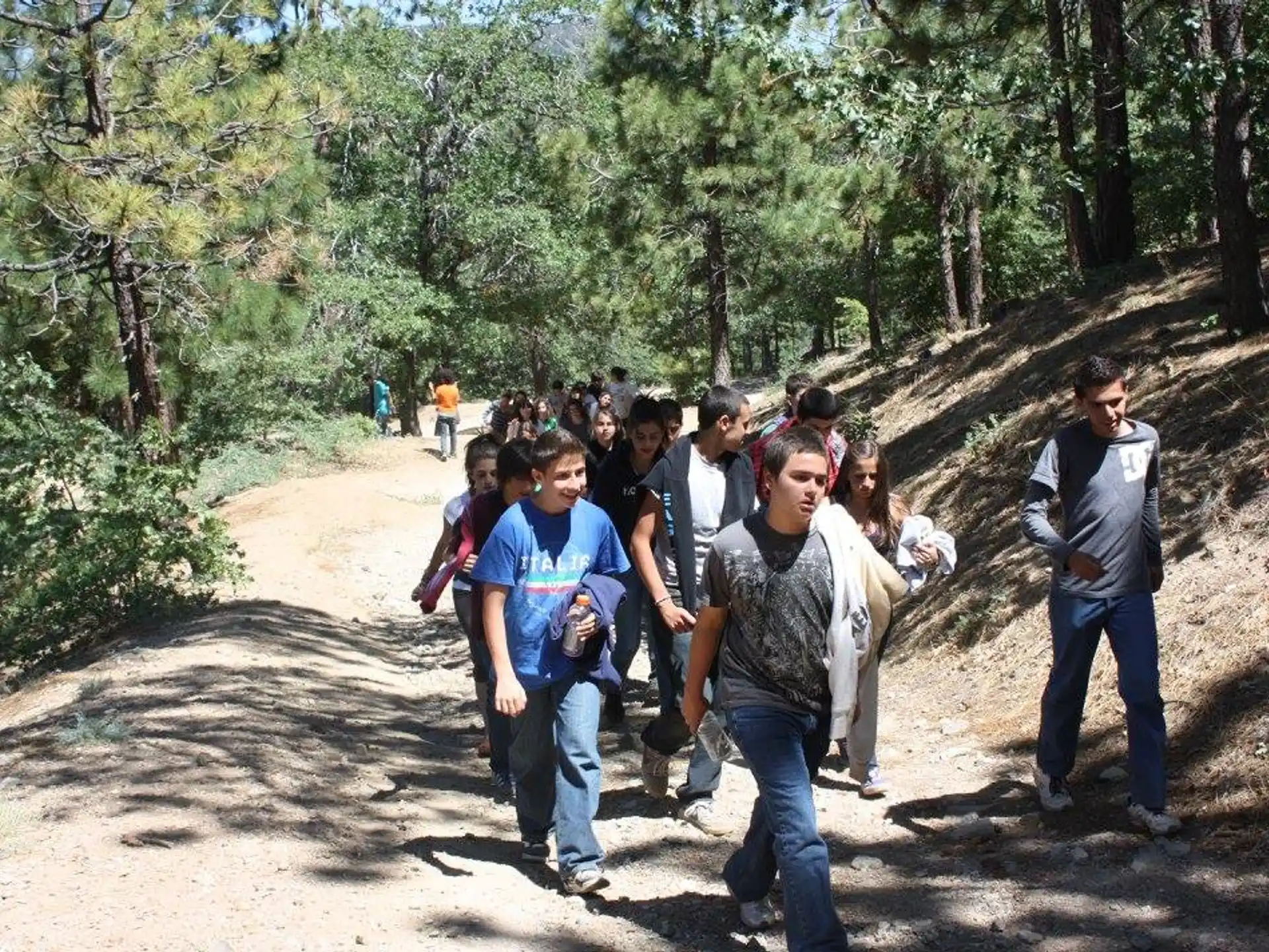 a group of people walking on a dirt path in the woods