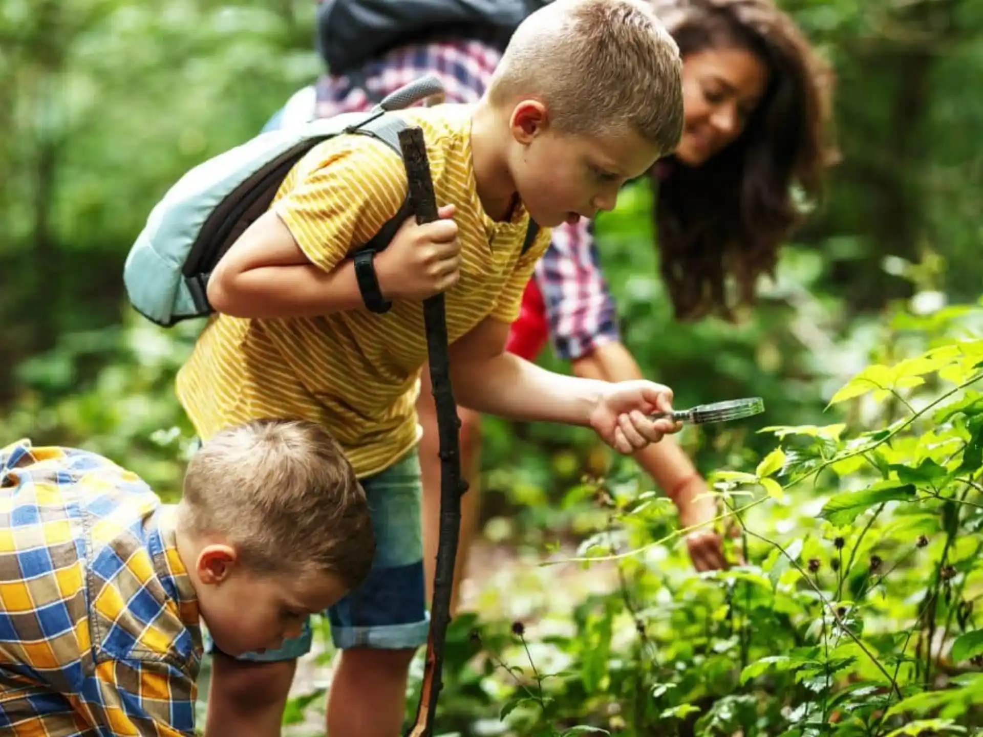 a group of people looking at plants