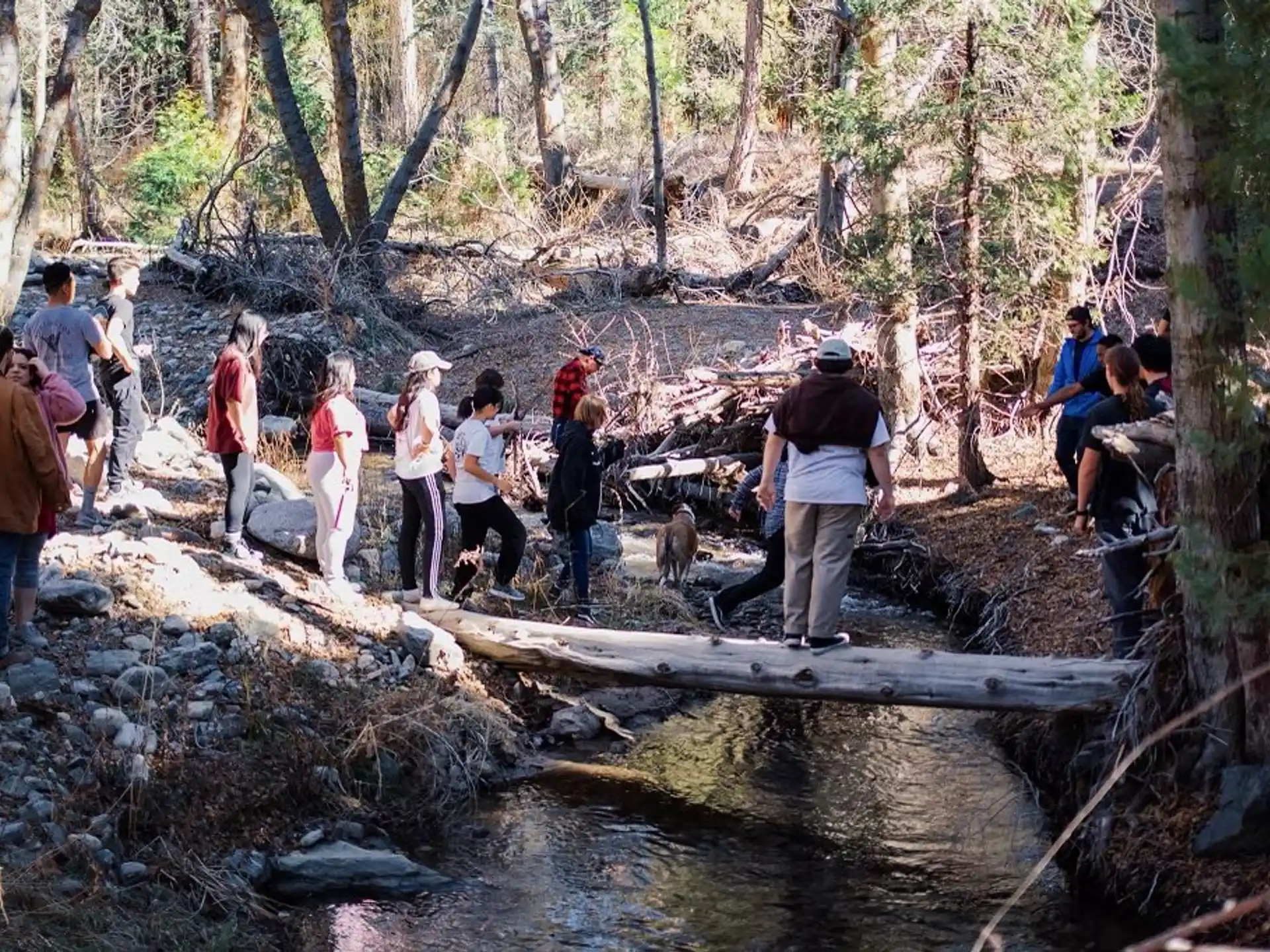 a group of people standing on a log over a stream