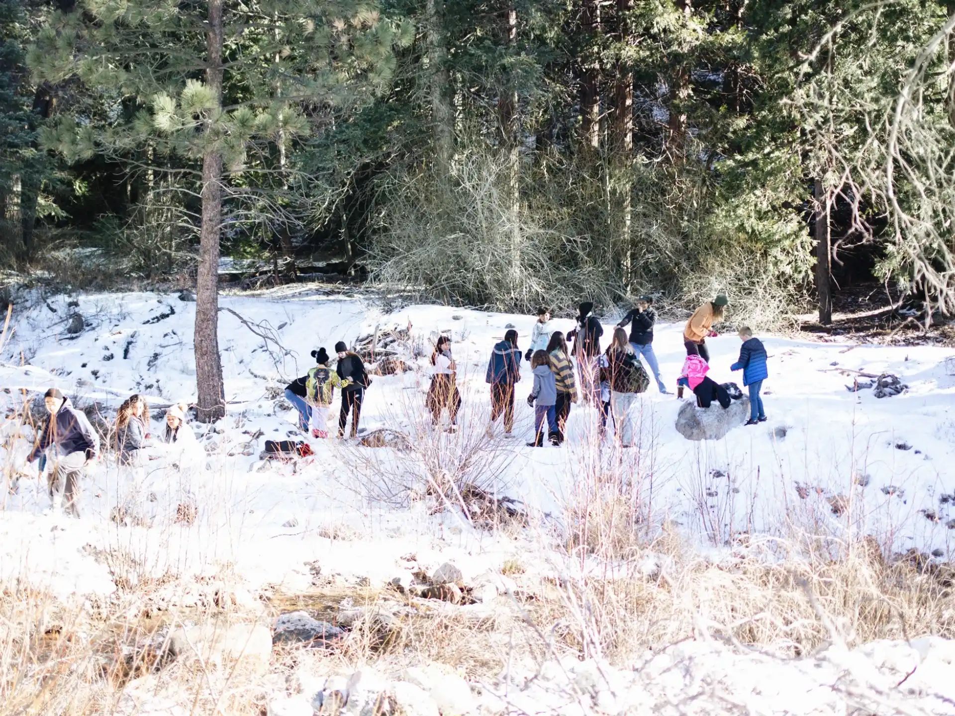 a group of people walking in the snow