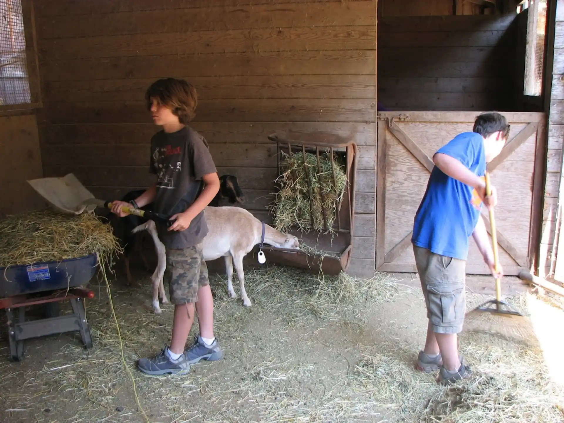 a couple of kids with a goat