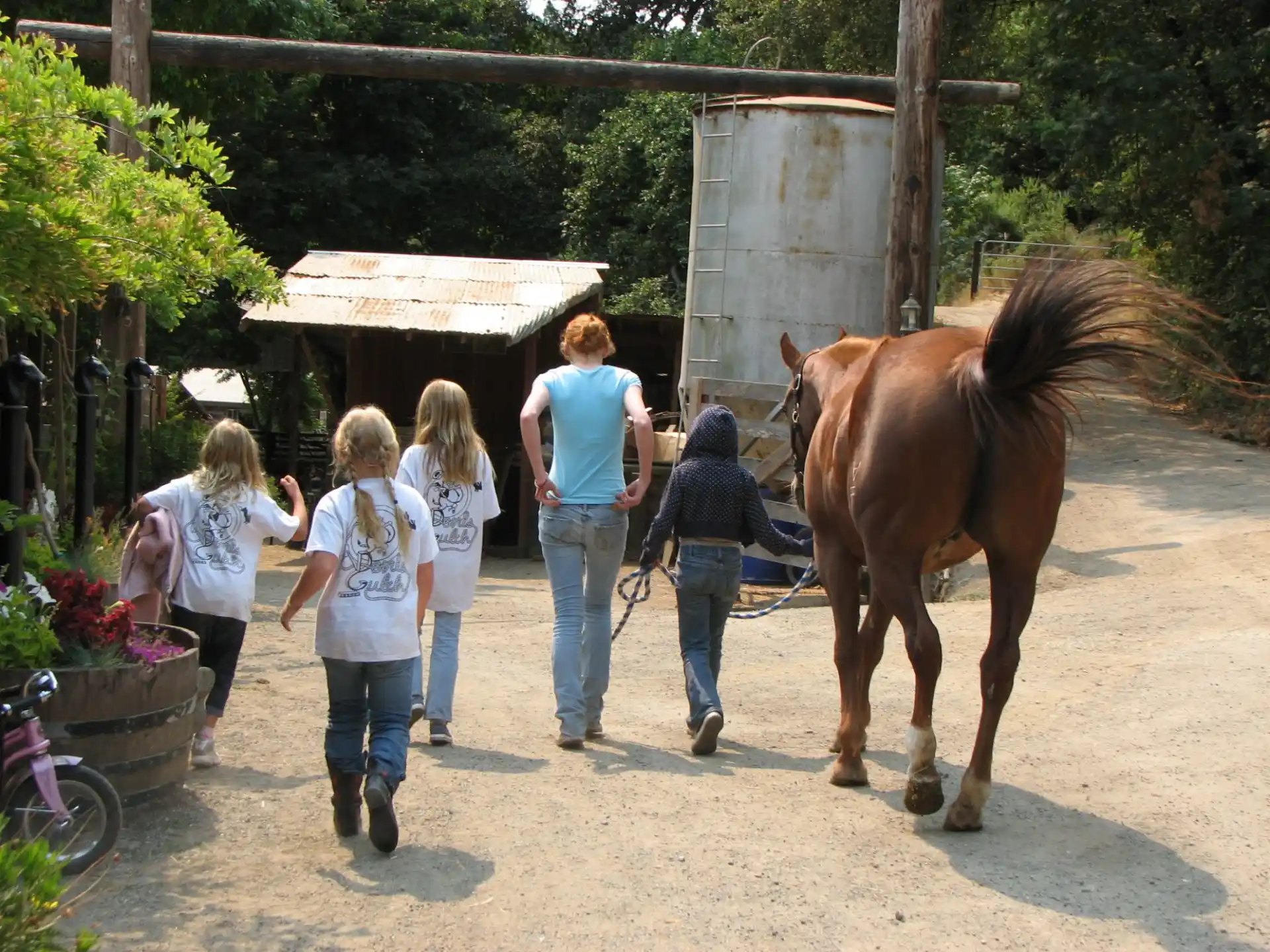 a group of people walking a horse