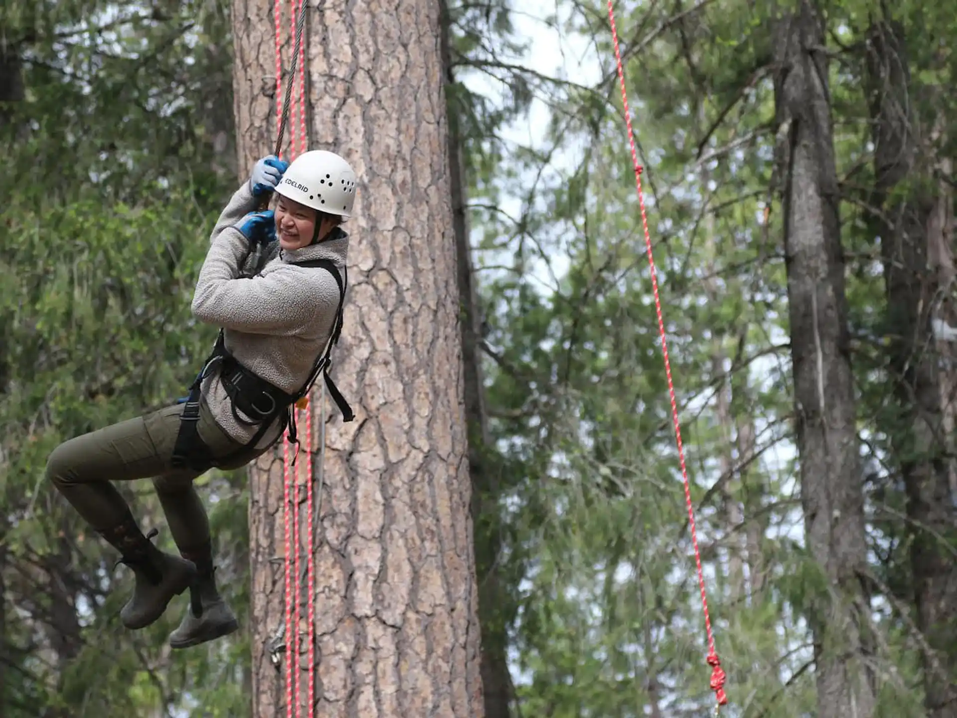 a man climbing a tree